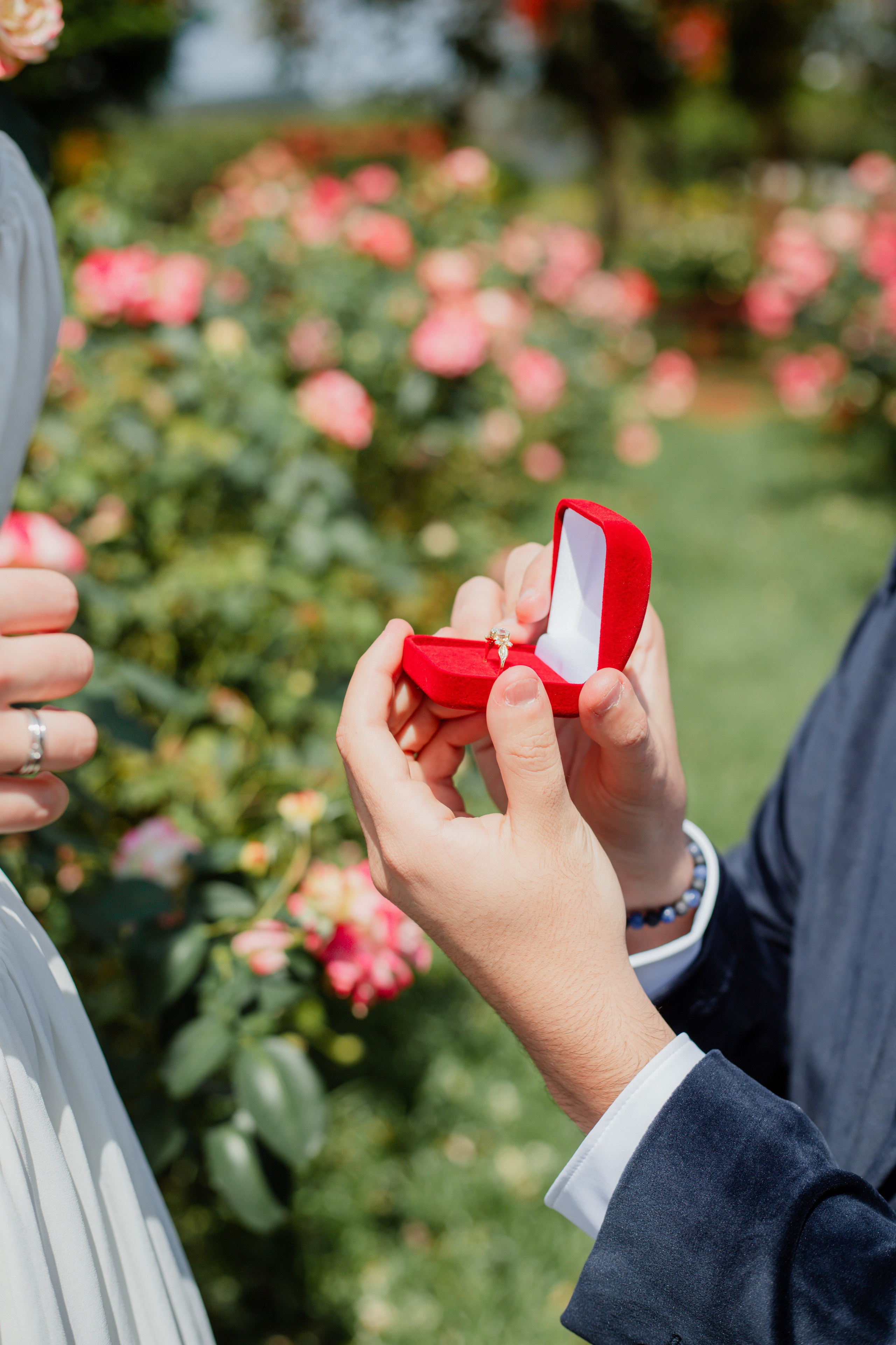 Pedido de Casamento /Bloemen Park. Joyce Maria Fotografia | Fotógrafa em Holambra