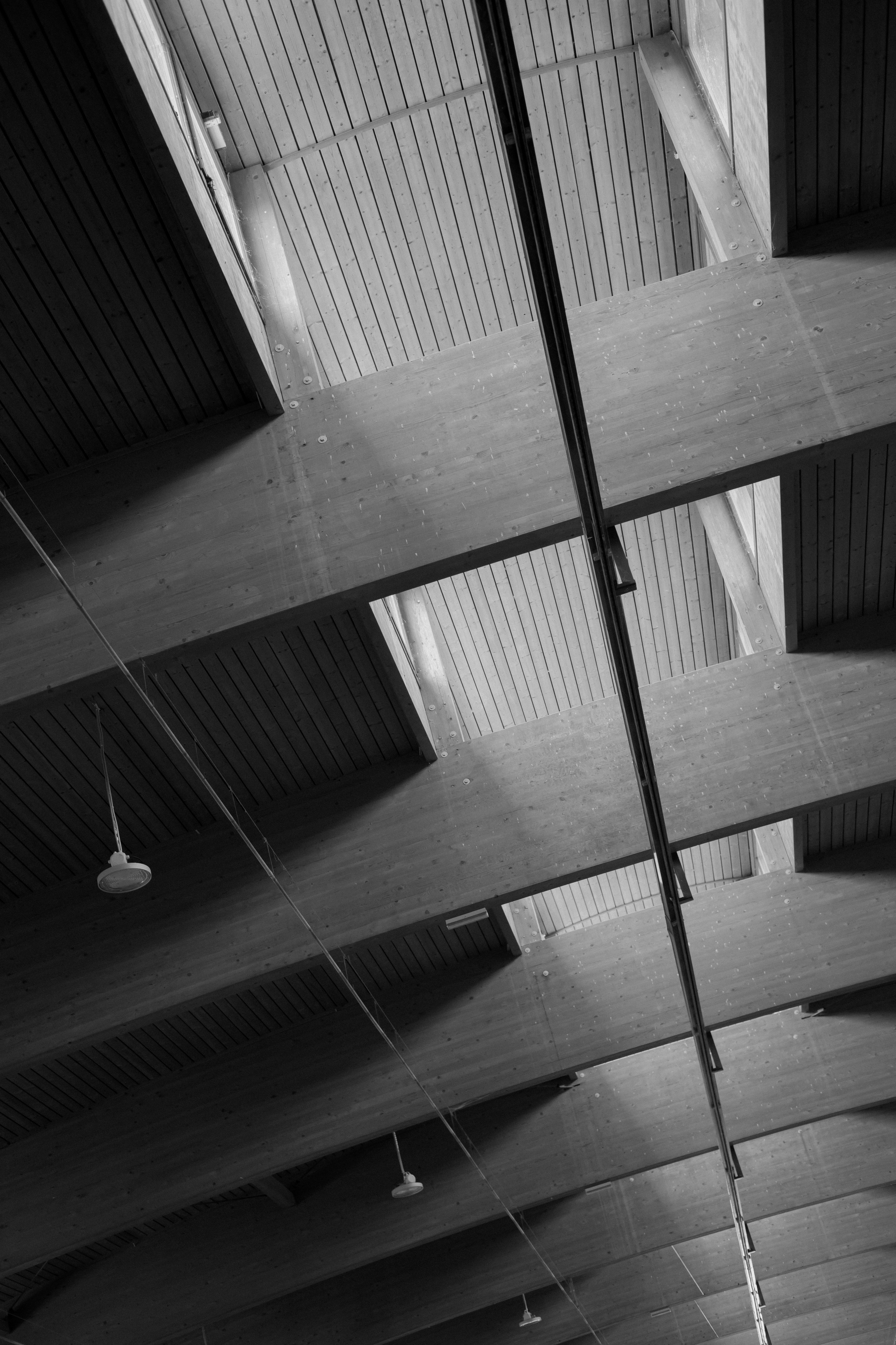 Diana. Daria Sazanova — Portrait photographer in Bratislava and Vienna