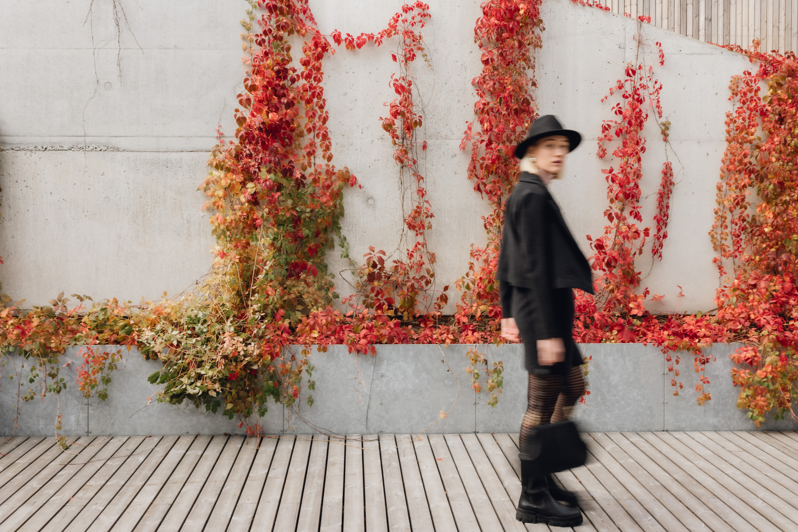 Drabužių kolekcijos fotografavimas. Vestuvių ir šeimų fotografė Lena Bondarenko / belove photo