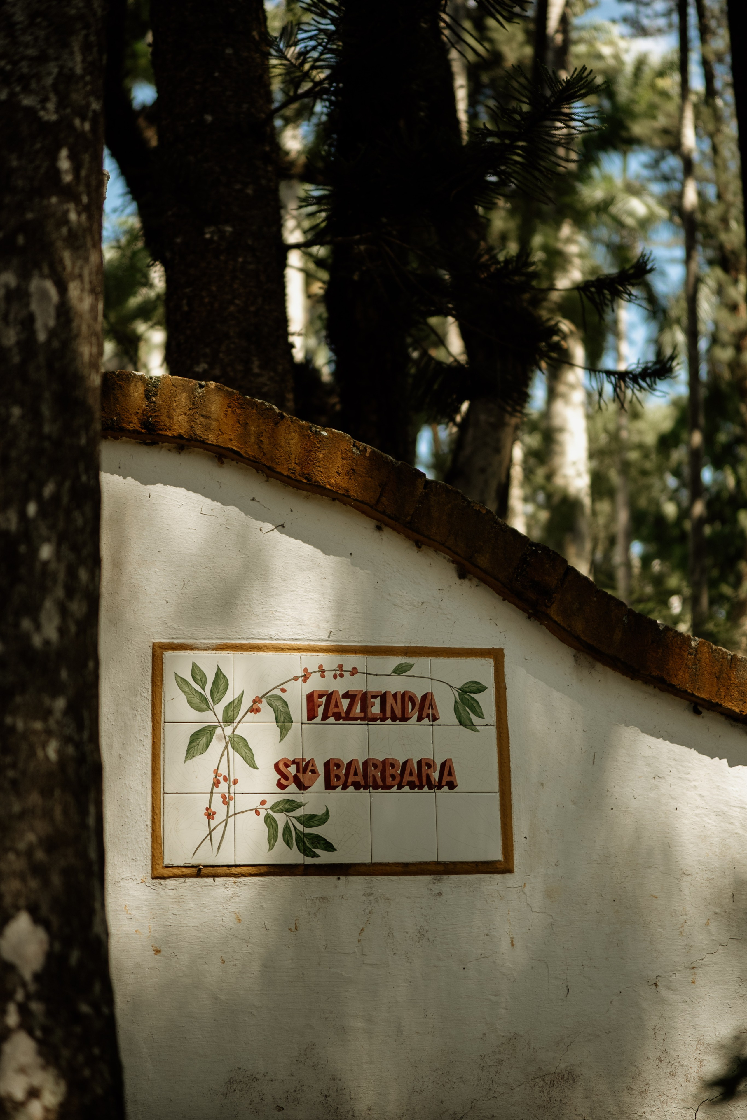 Johanna & Felipe. Congiu Wedding