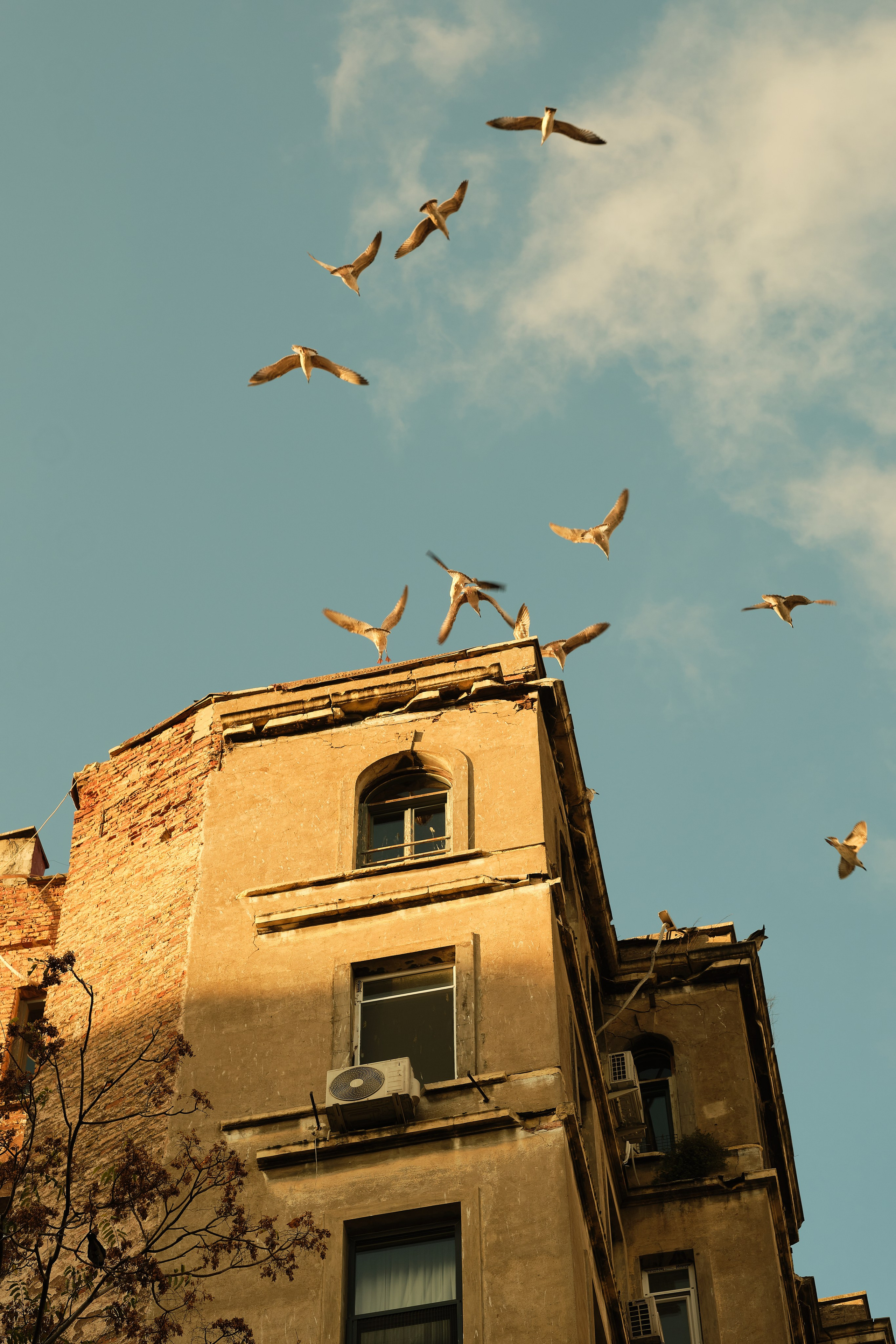 Street photography, Istanbul, Turkey by Petr Nabutov