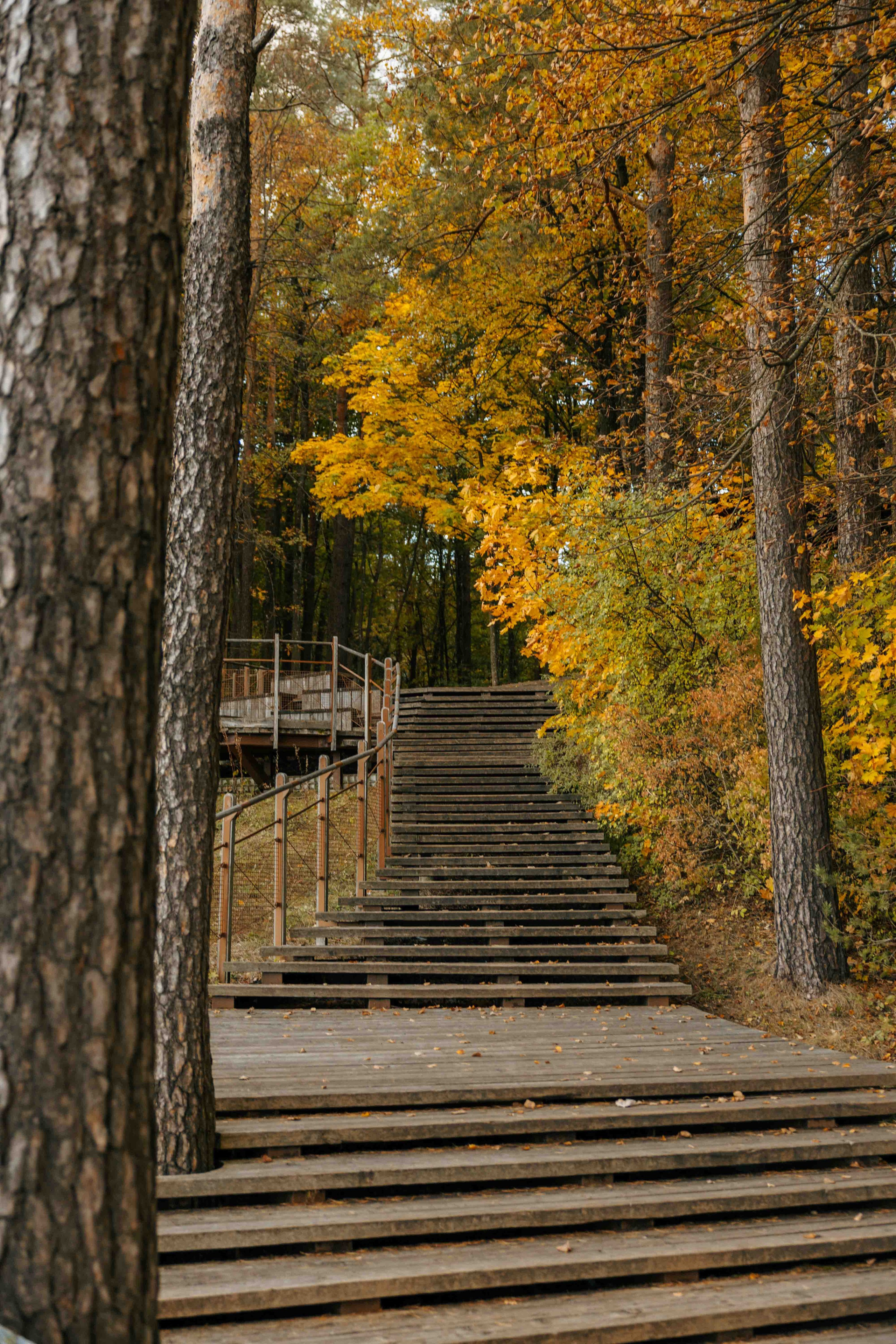 Best Autumn Photoshoot Locations in Vilnius: Top Spots to Capture the Fall Colors. Framed by Evelina | Destination Wedding Photographer from Lithuania | Europe