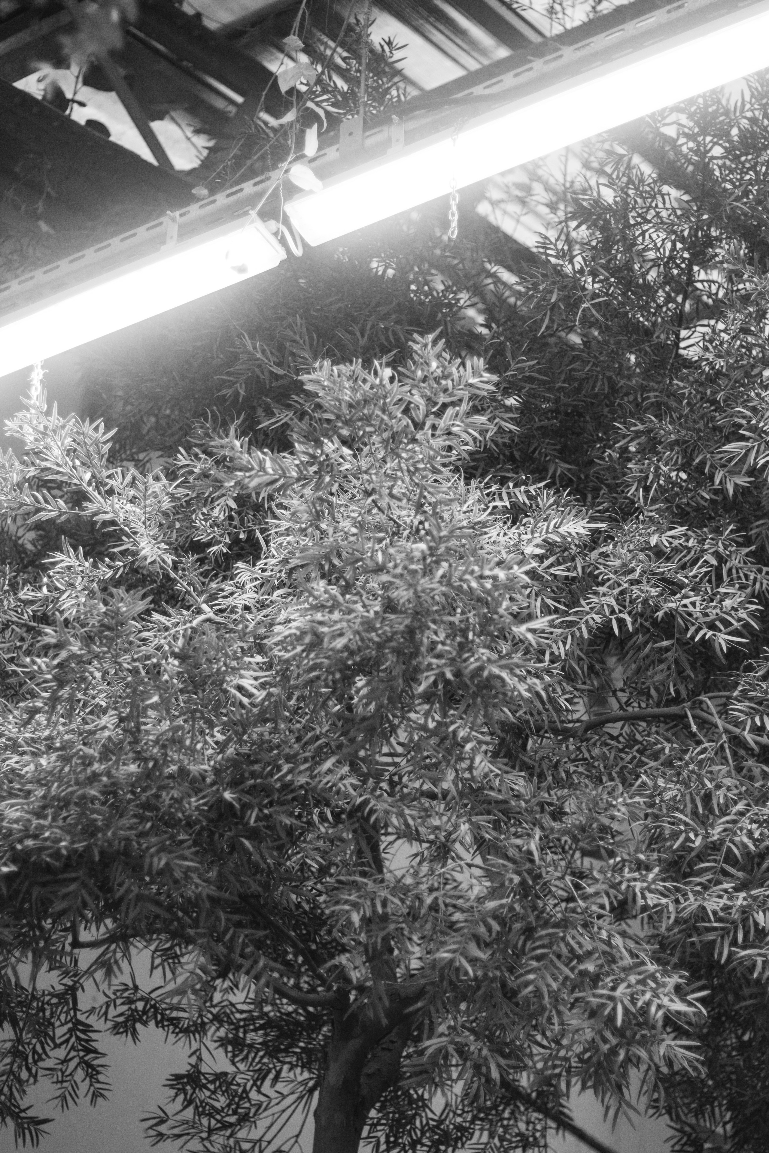 Кто сказал, что будет легко (в процессе). Екатерина Федорова