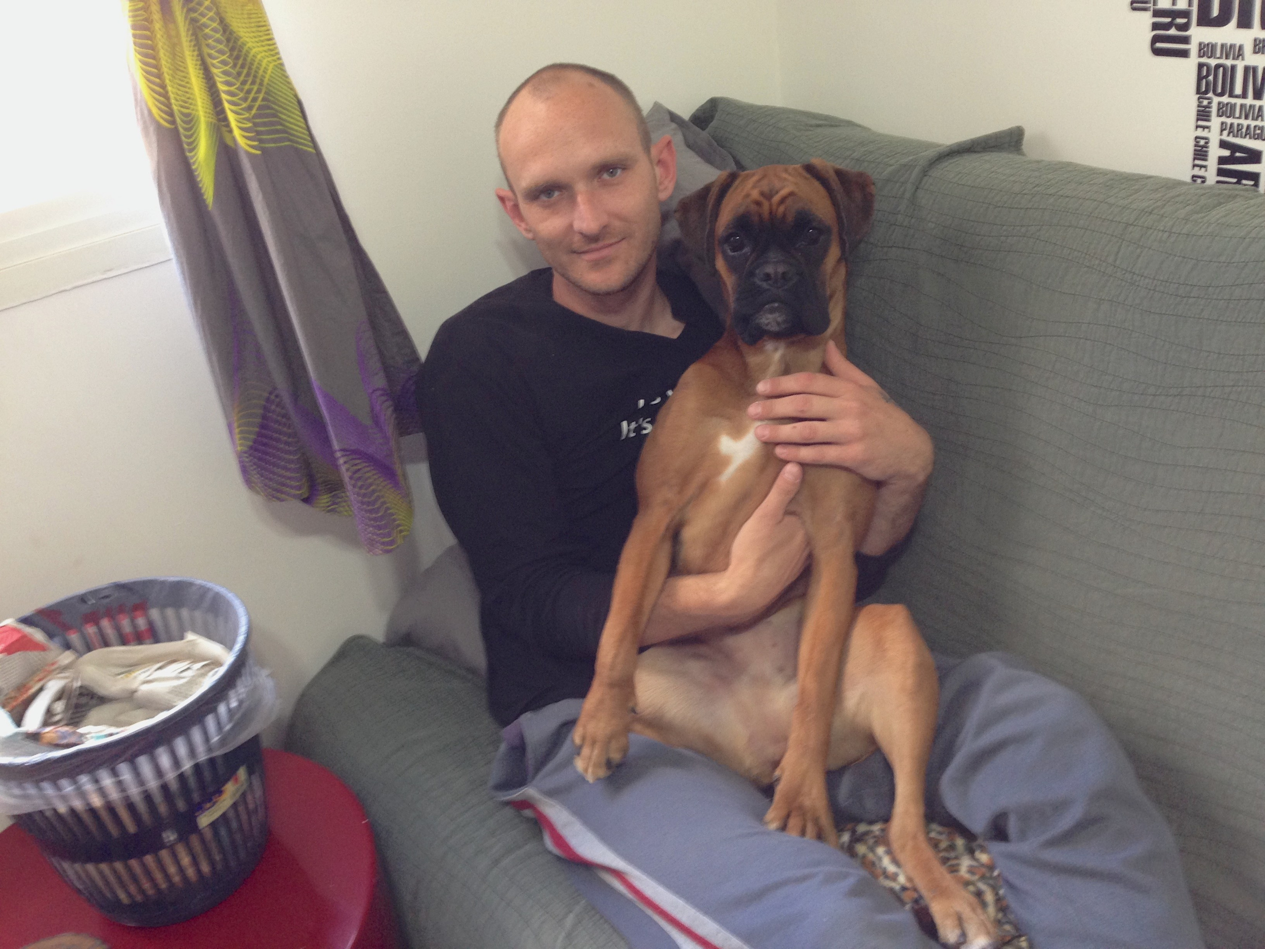 My ״Star״ Boxer Dog