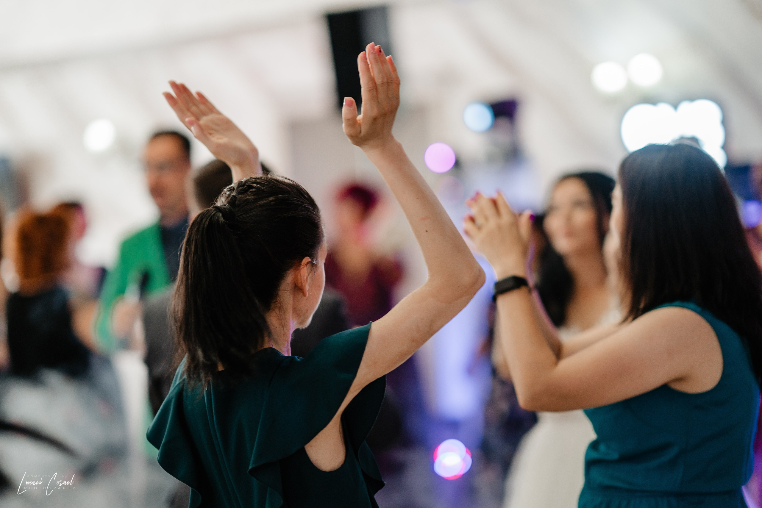 Andreea & Ștefan – Nuntă cu suflet. Fotograf de nuntă, corporate, botezuri, majorate și aniversări Roman, Lucaci Cornel