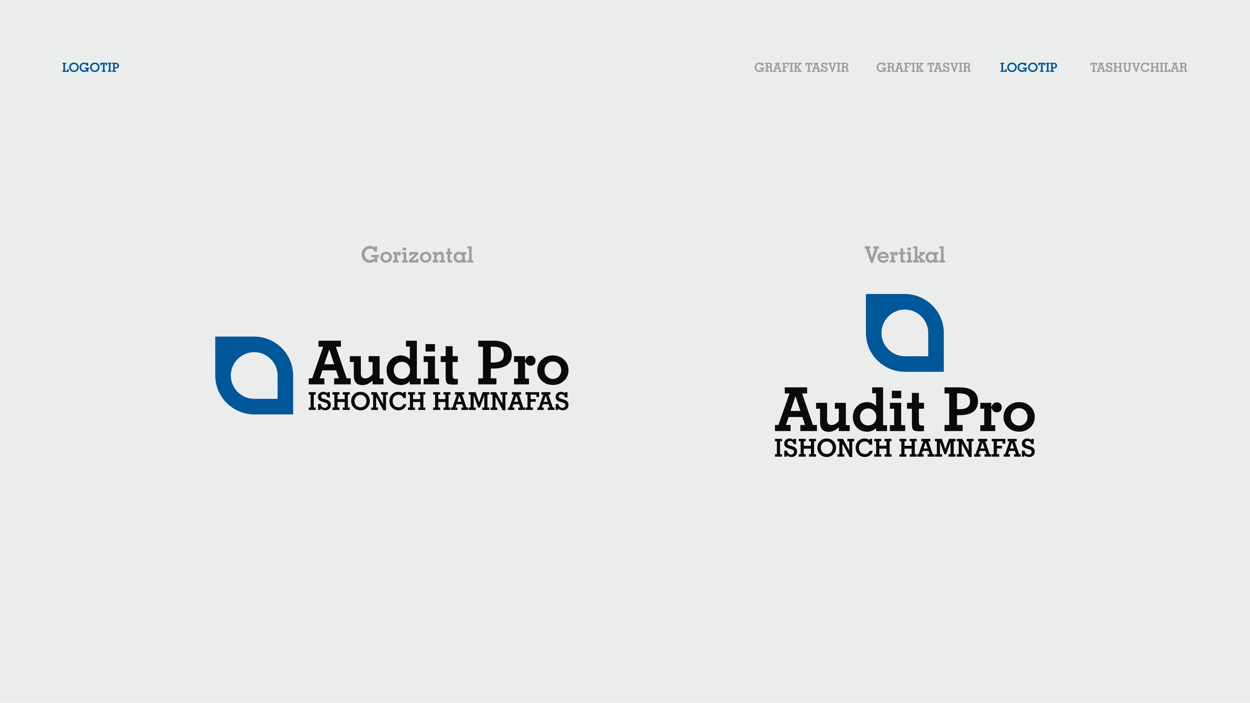 Audit Pro - Logotip. Dirov — Hayot Khodirov