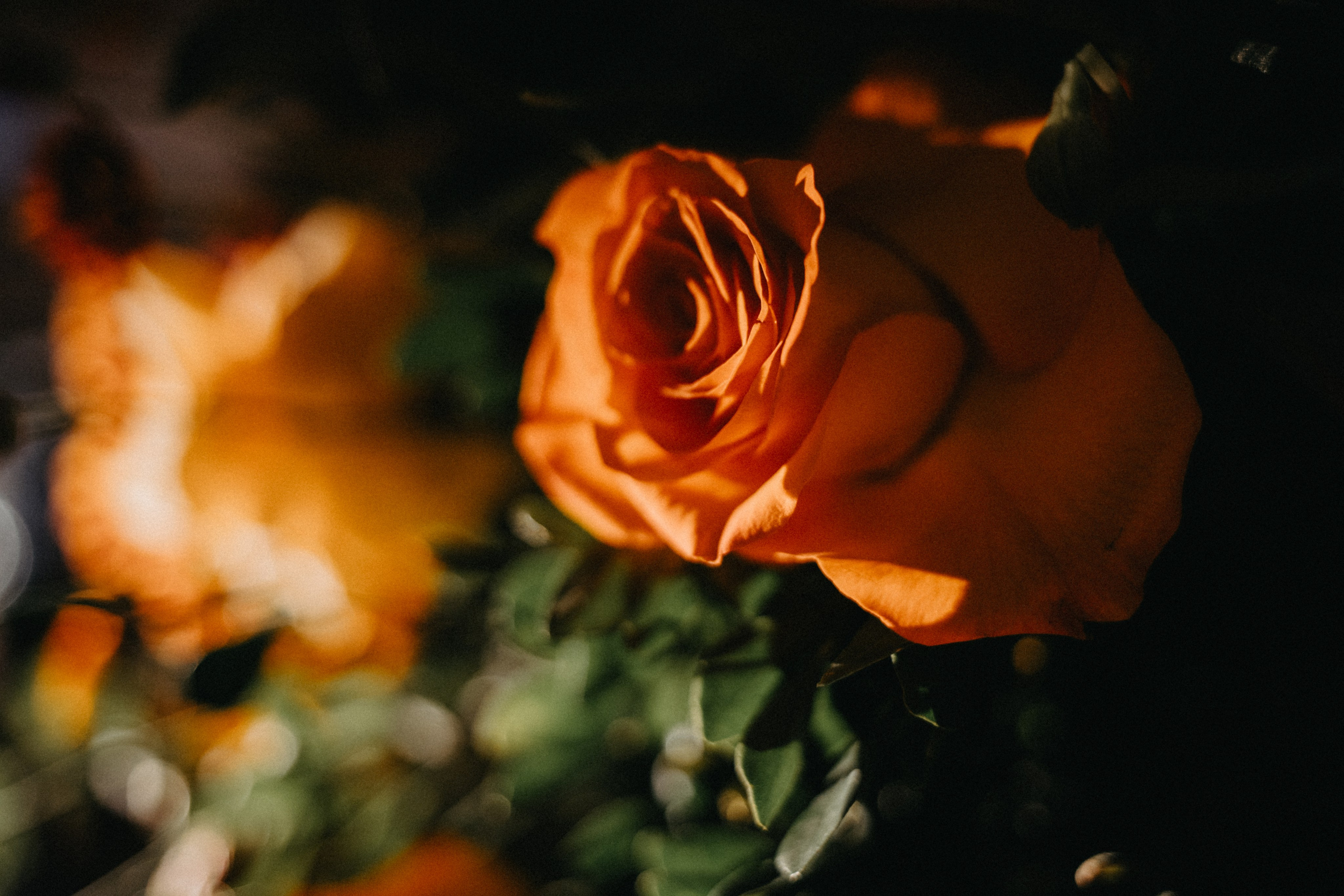 R & D — Meter o louco e ser feliz!. Fotografia de casamento em Belo Horizonte