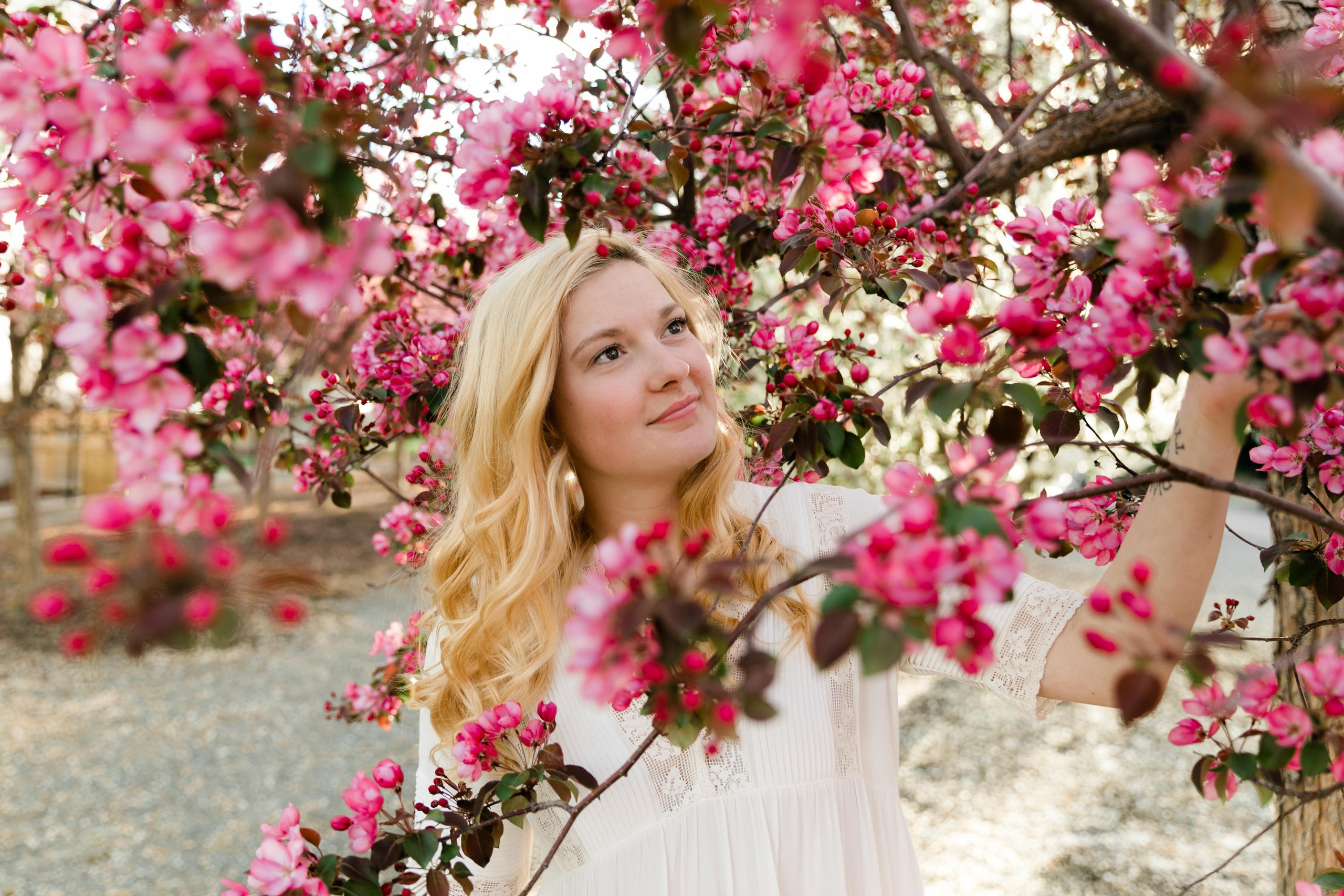 Cherry Blossom — Leann. Ching Li Photography