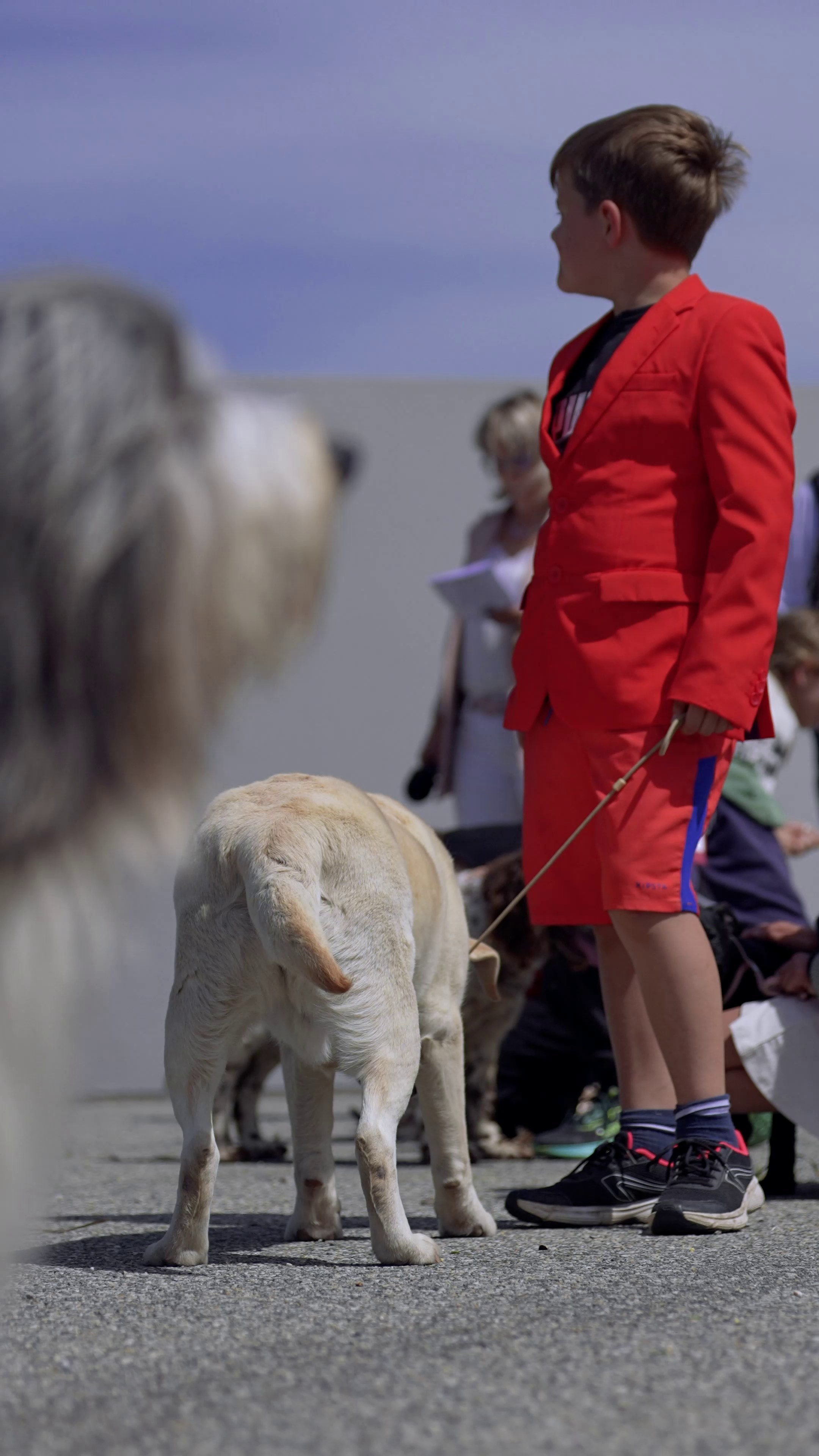 Expo canine 🇫🇷 Valence 02-03/05/2026