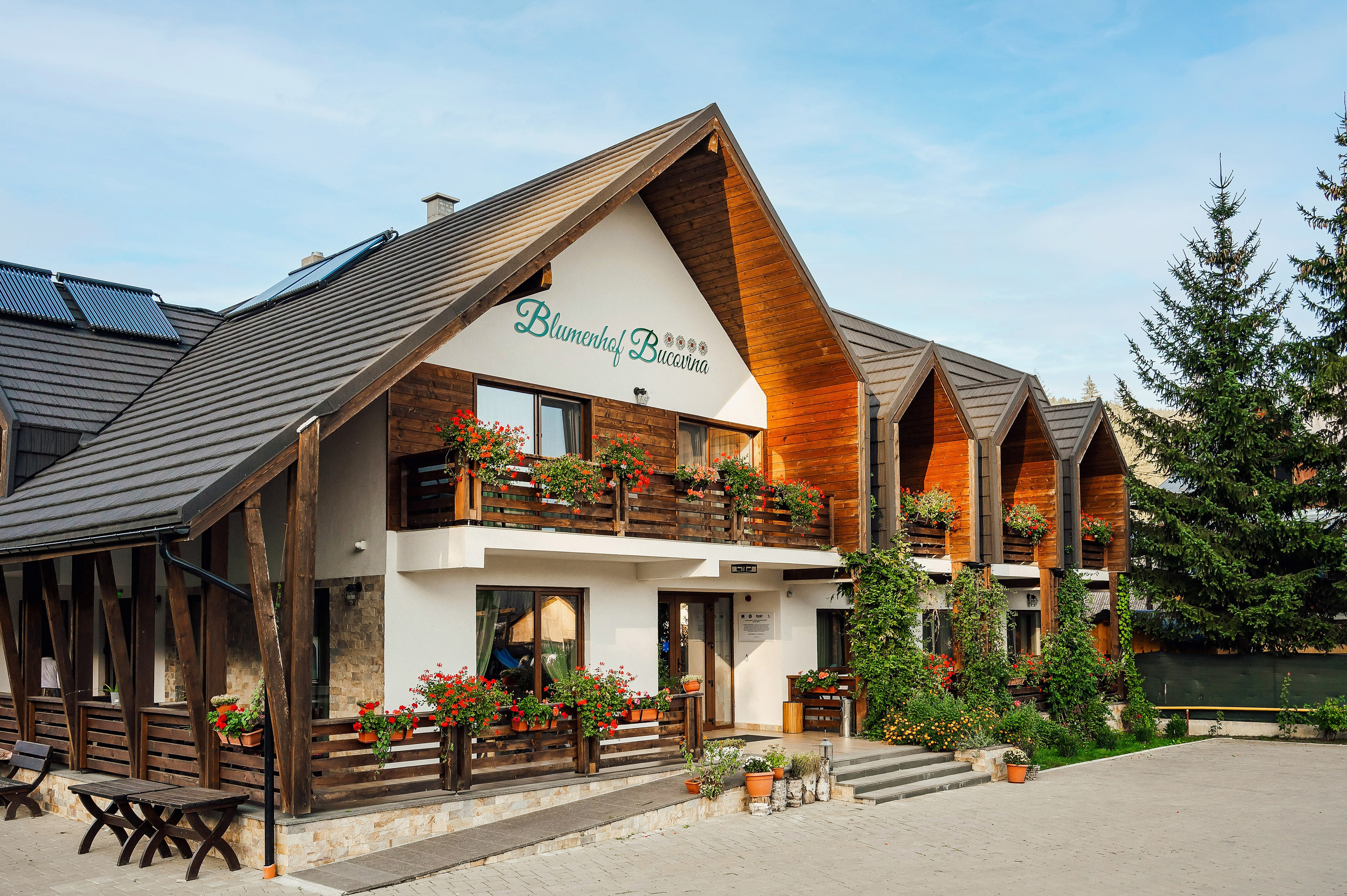 Pensiuni. George Boicu — Fotograf — Gura Humorului