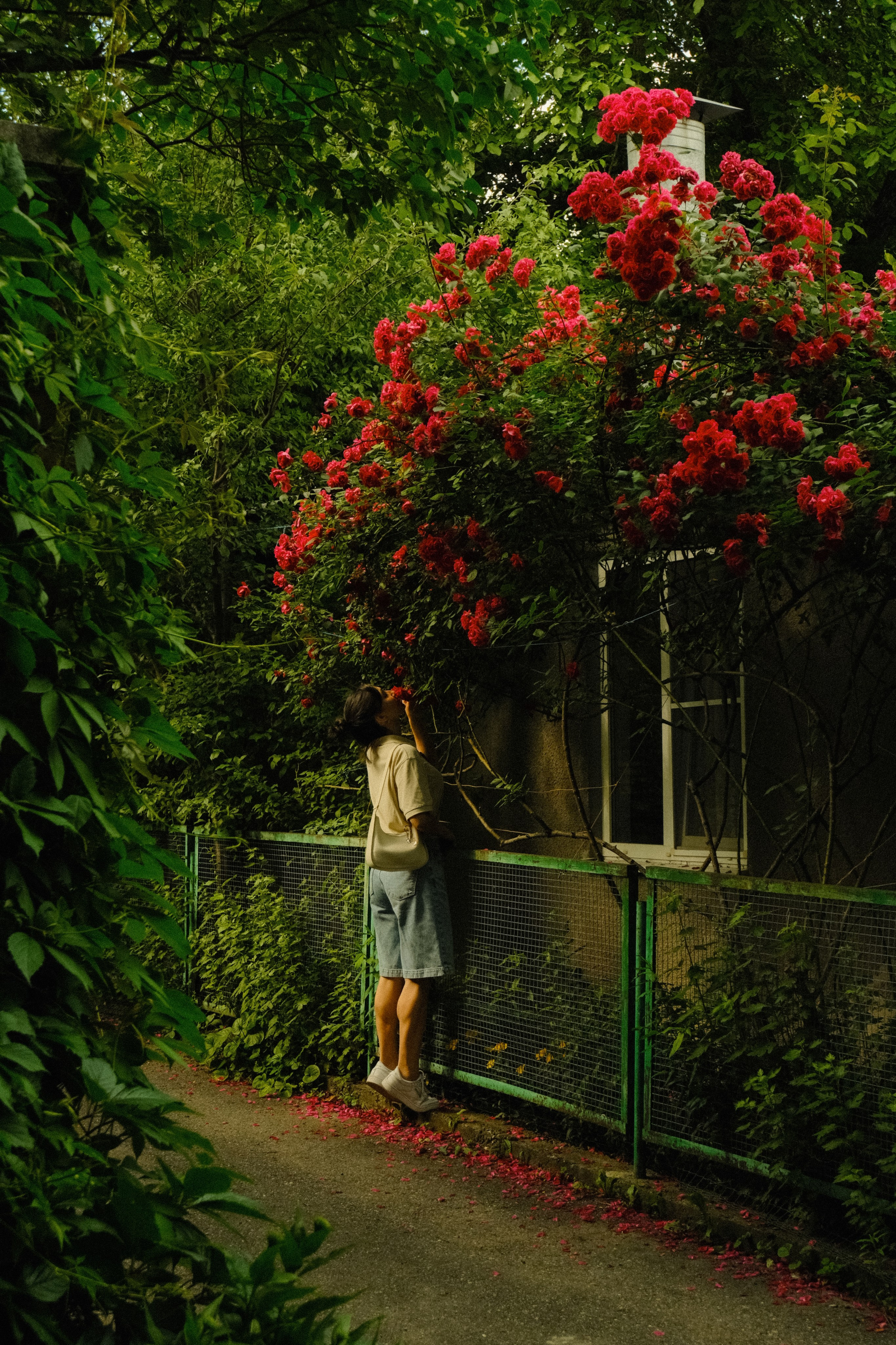 Caucasus & Elbrus. Portrait and Lifestyle Photographer in Vienna — Nick Pavlov