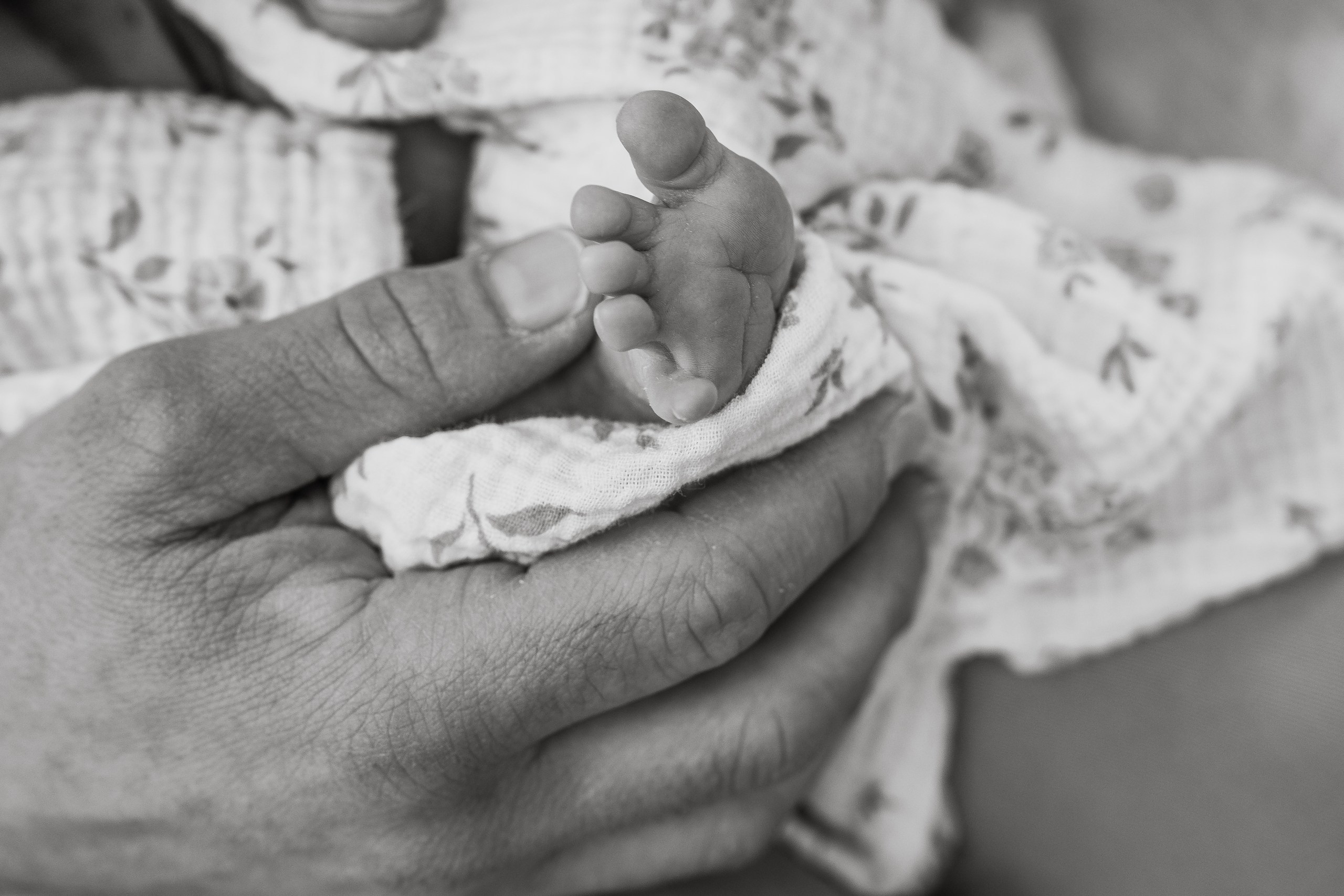 Natasha, Emilia, Brandon, Clara. Alisa Tant — Family and newborn photographer Bucks County, Montgomery county, Philadelphia, NJ