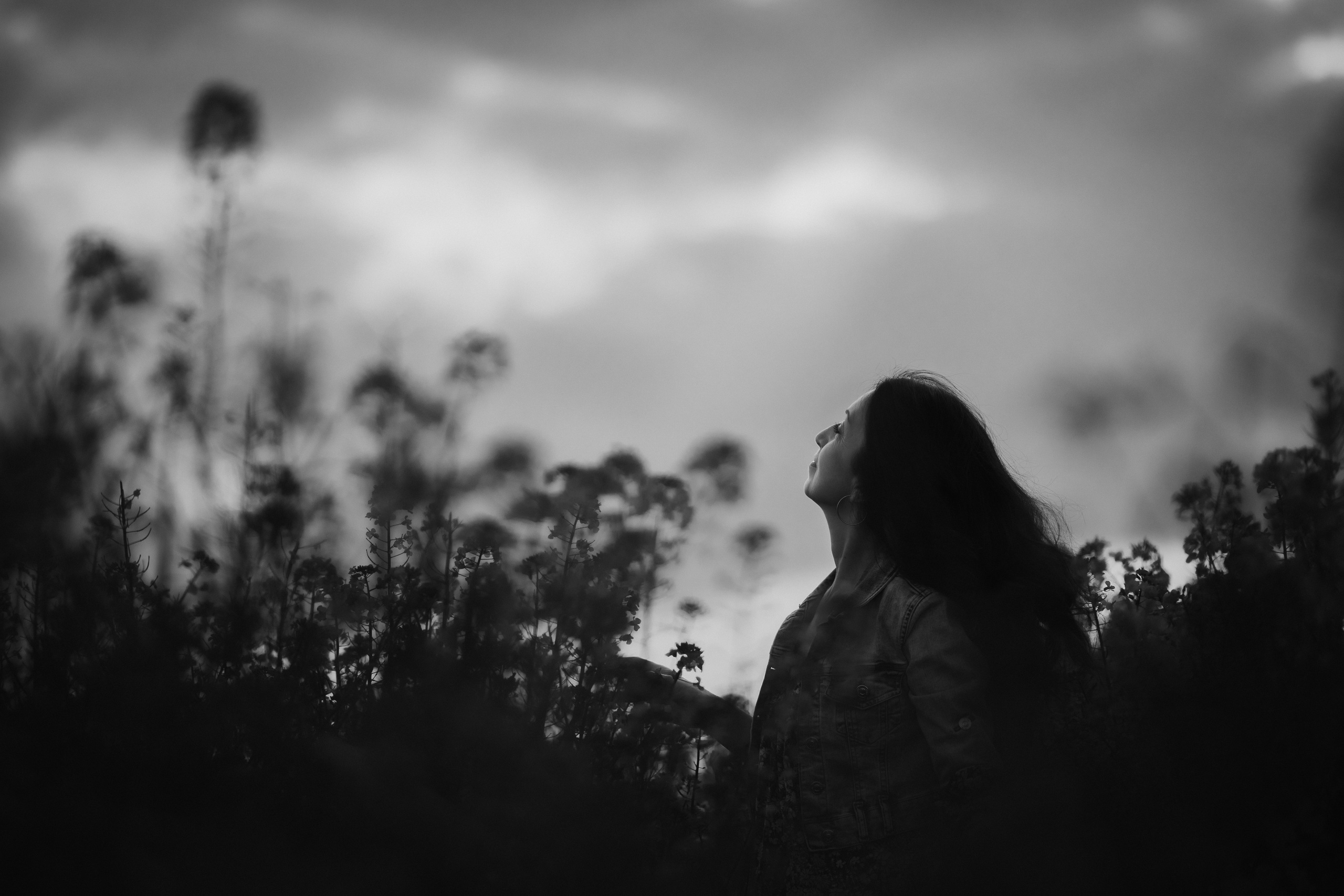 Когато цъфти рапицата. Фотограф Ирина Йотова