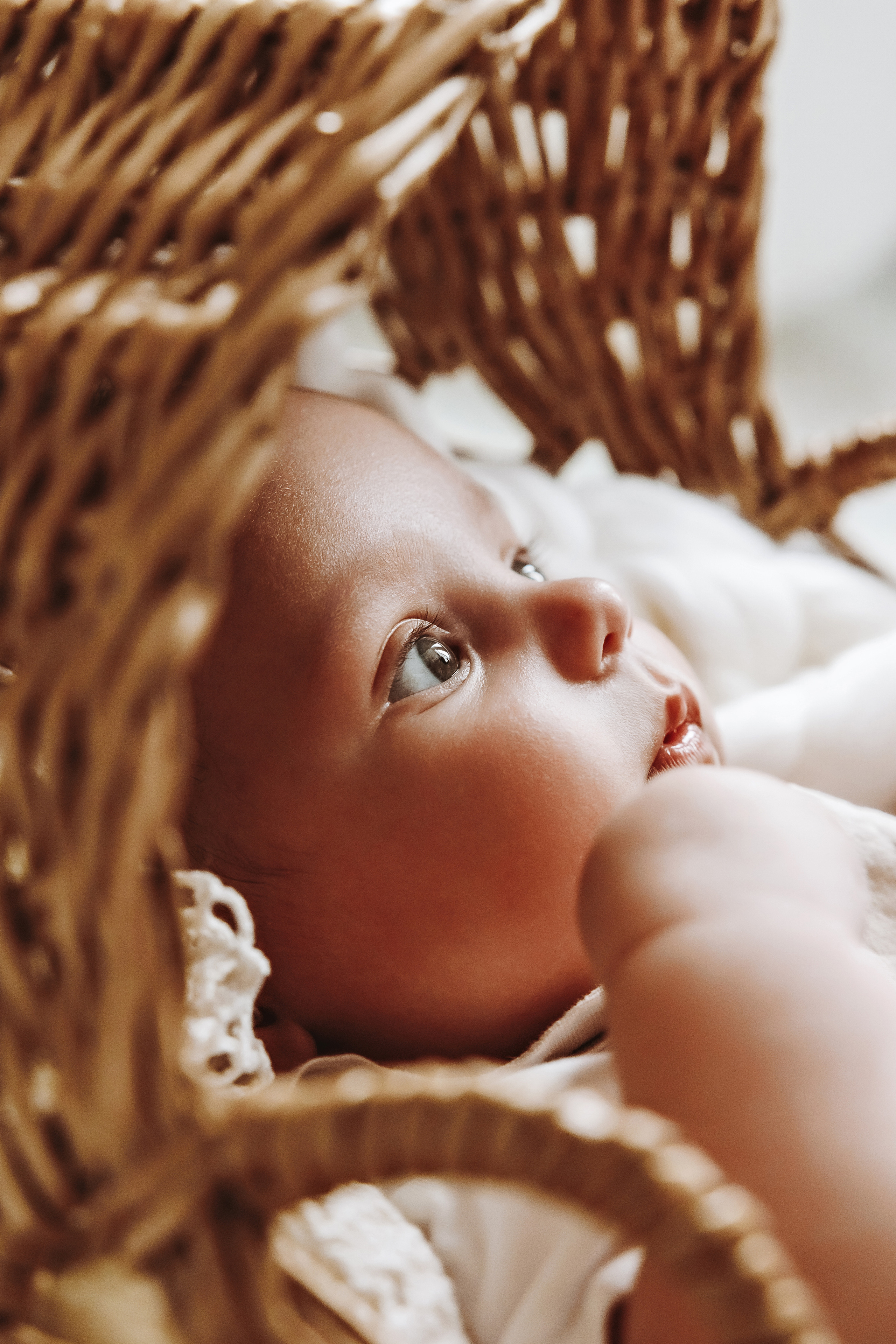 Bay boy. Фотограф Ирина Йотова