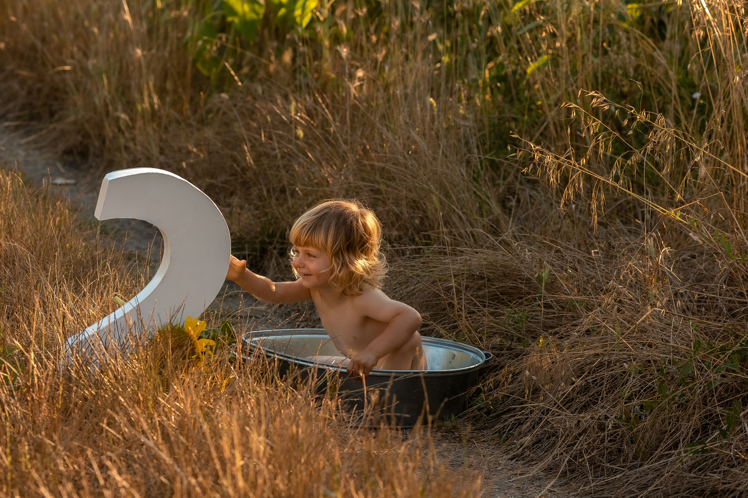 Фоторазходка Слънчогледи. Фотограф Ирина Йотова