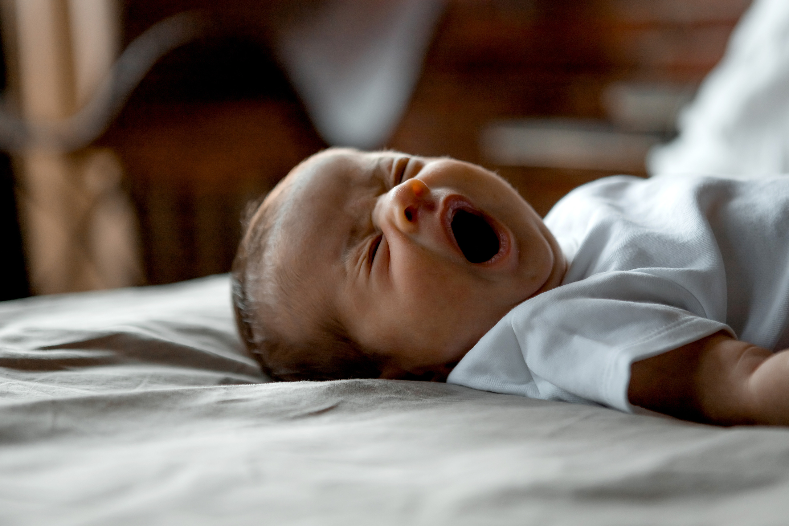 Newborn Girl. Фотограф Ирина Йотова