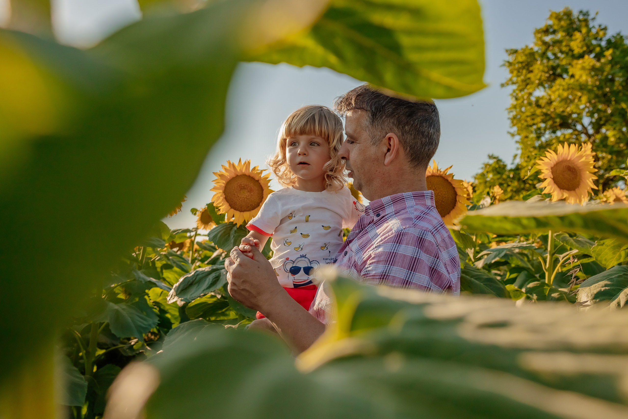 Фоторазходка Слънчогледи. Фотограф Ирина Йотова