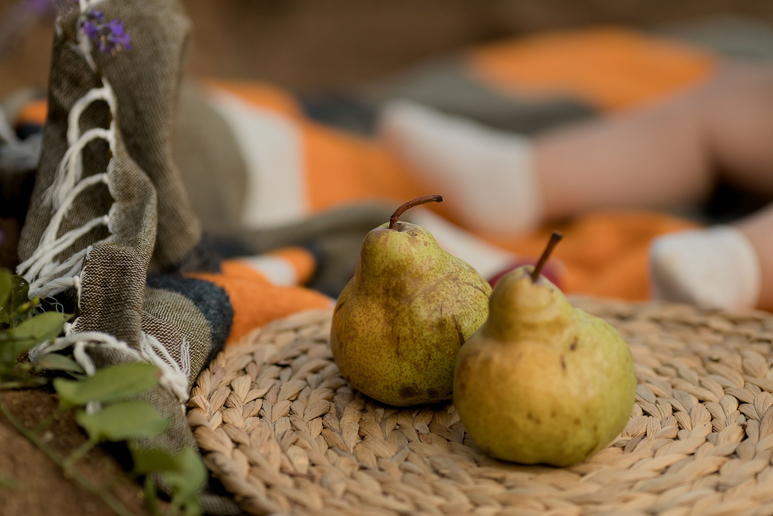 Фоторазходка Лавандула. Фотограф Ирина Йотова