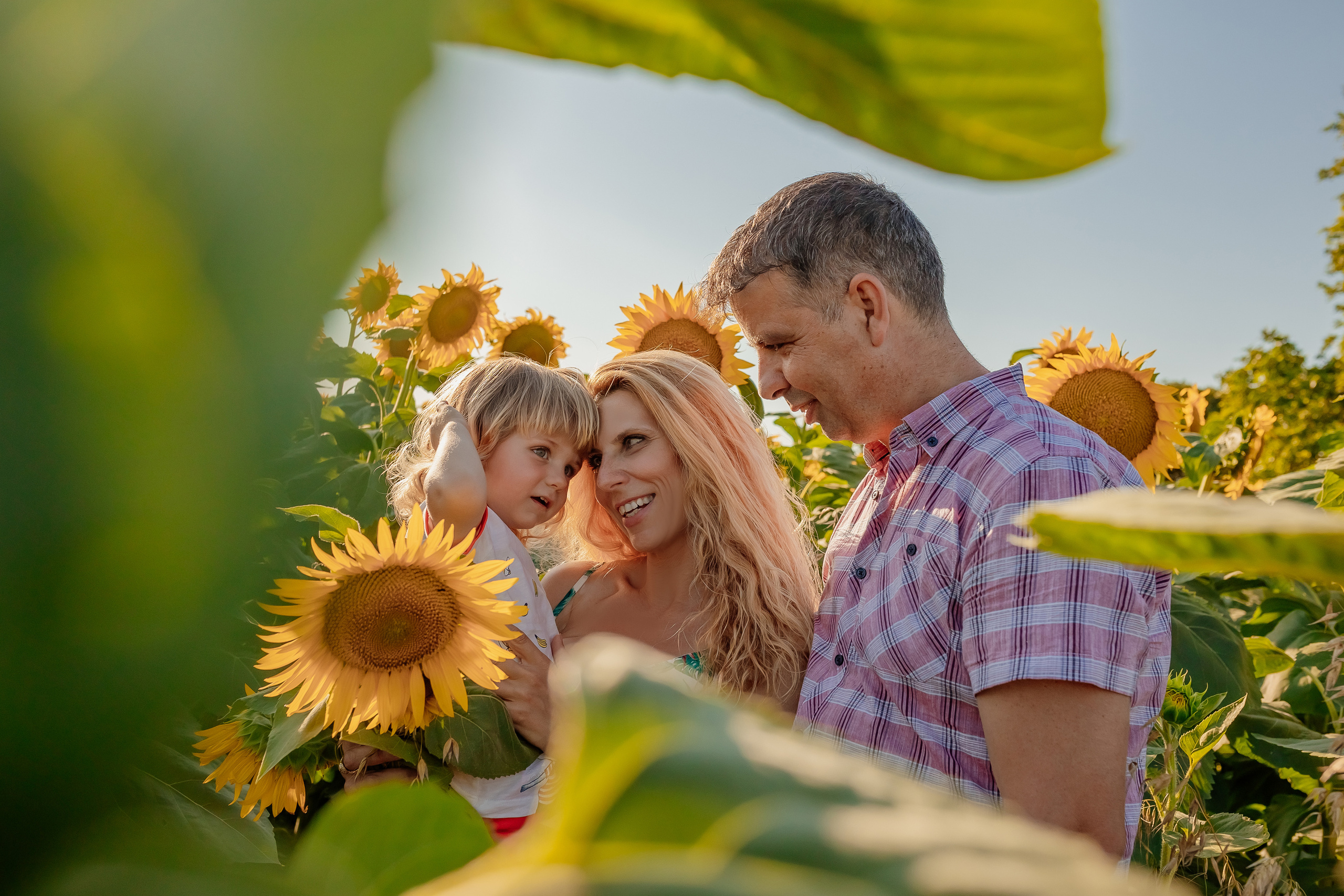 Фоторазходка Слънчогледи. Фотограф Ирина Йотова