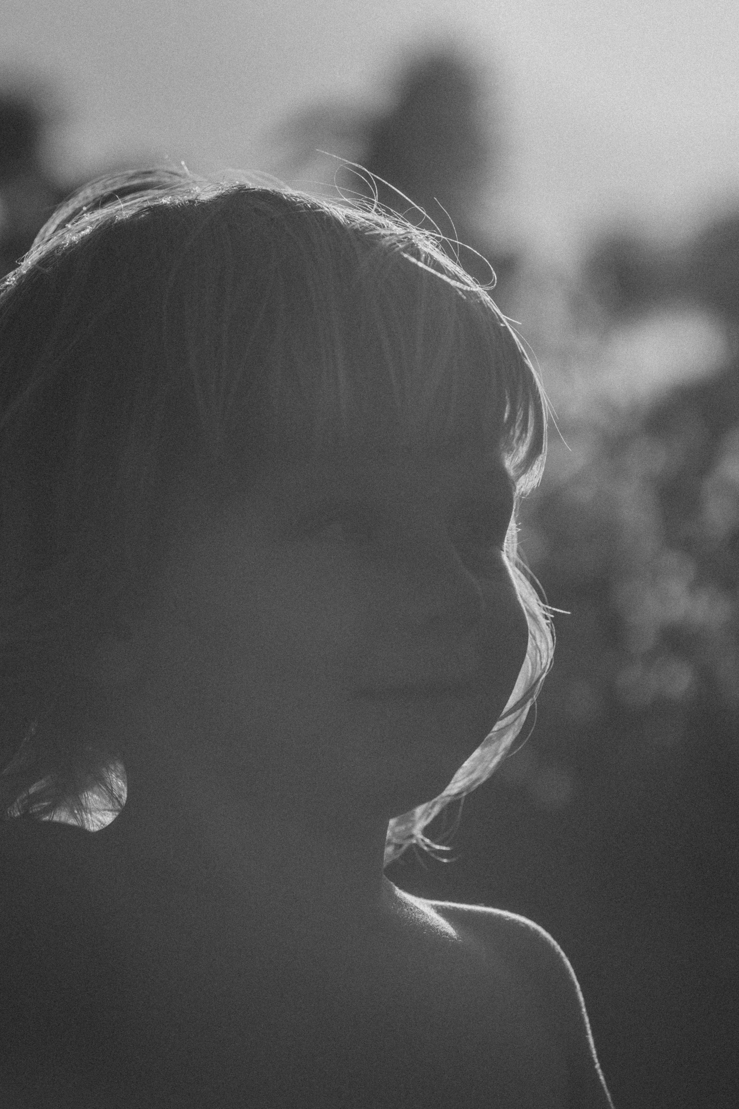 Фоторазходка Слънчогледи. Фотограф Ирина Йотова