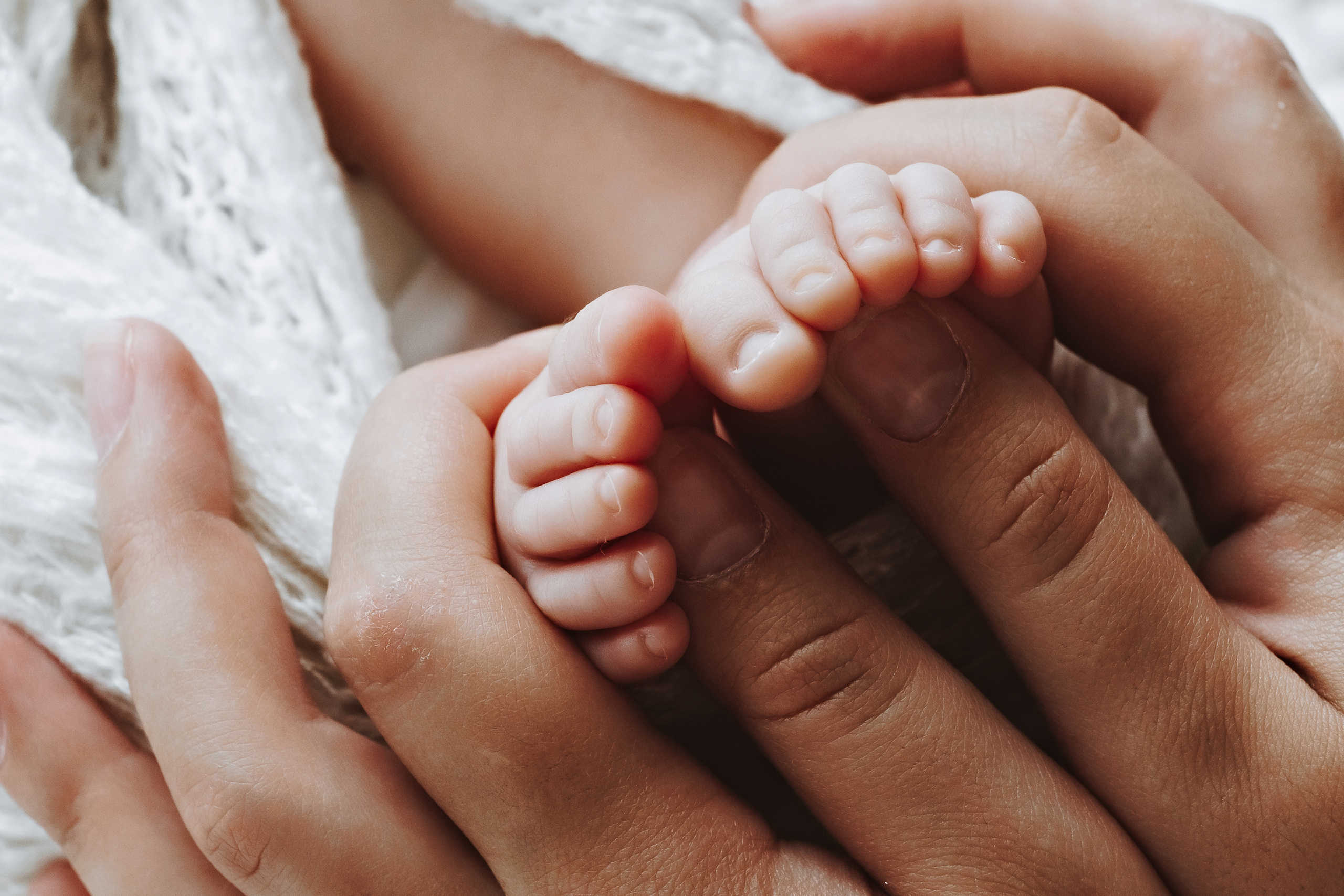 Newborn Girl. Фотограф Ирина Йотова