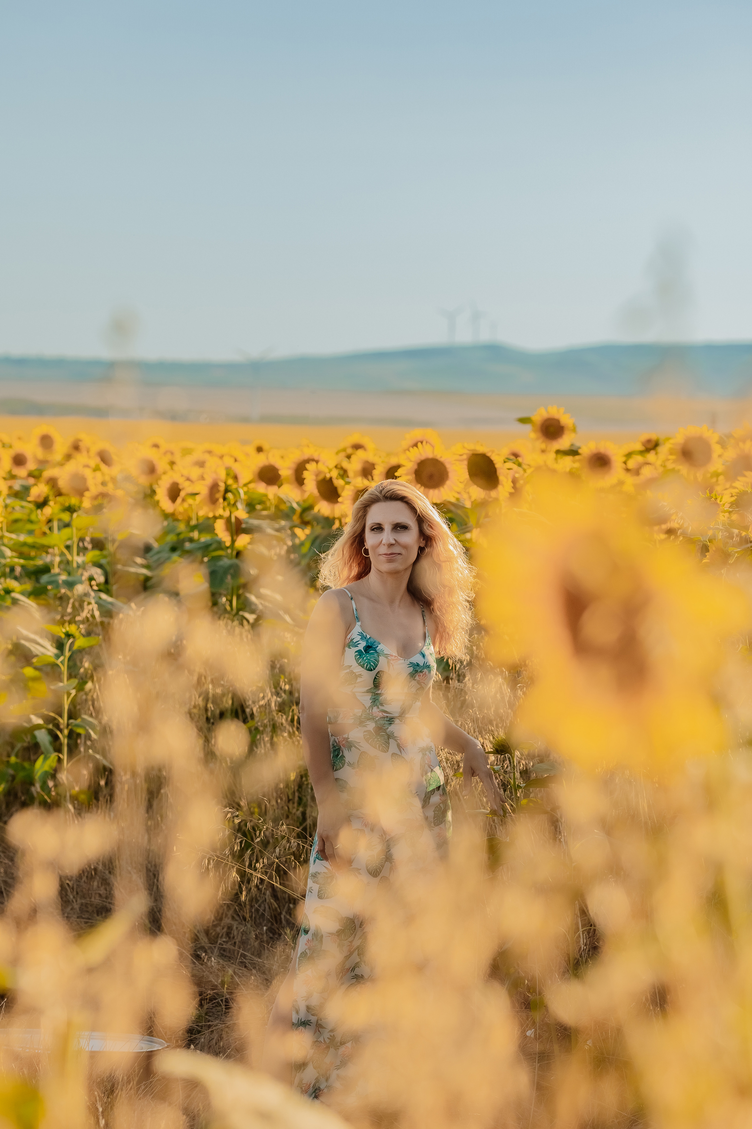 Фоторазходка Слънчогледи. Фотограф Ирина Йотова