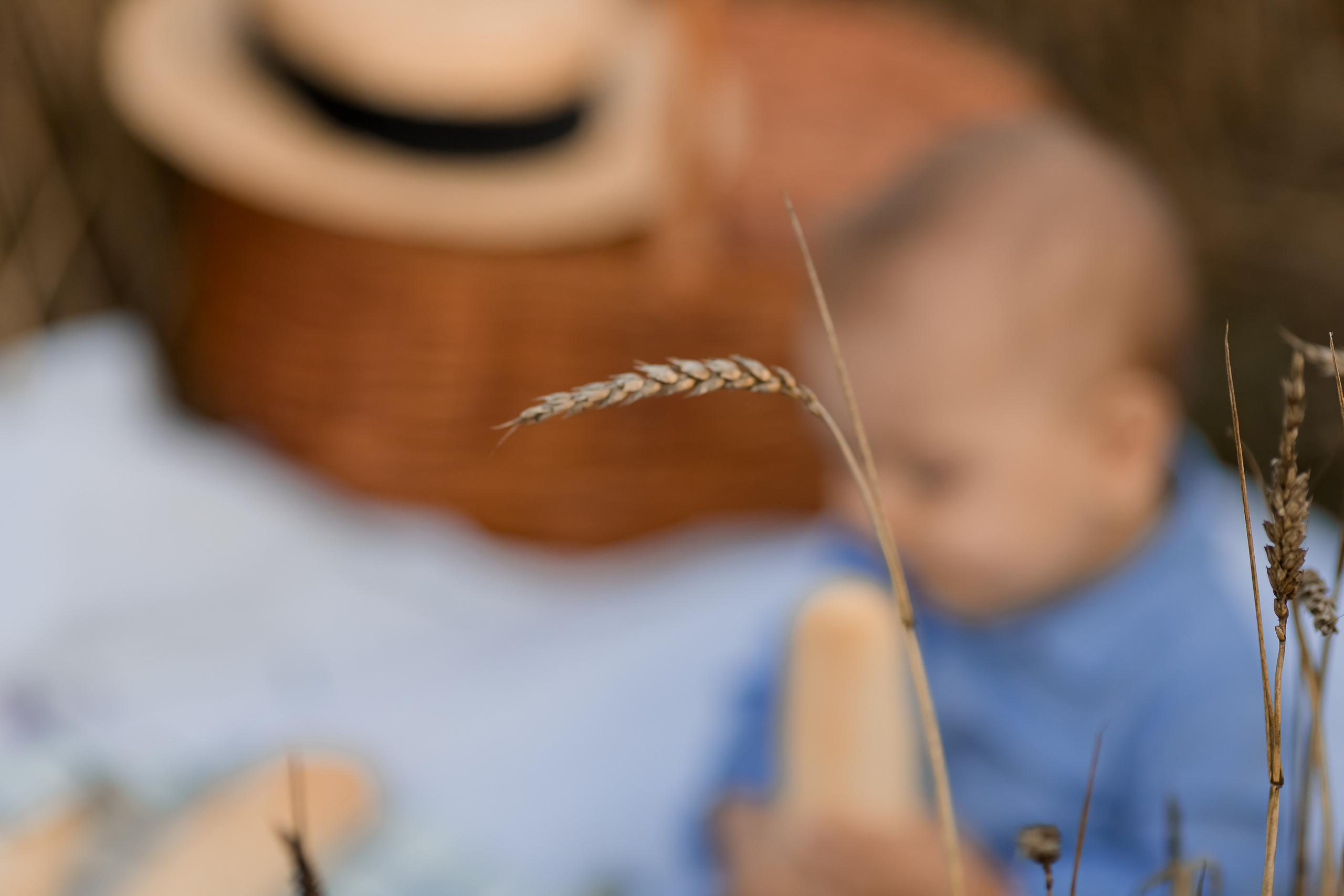 Фоторазходка Ръж. Фотограф Ирина Йотова