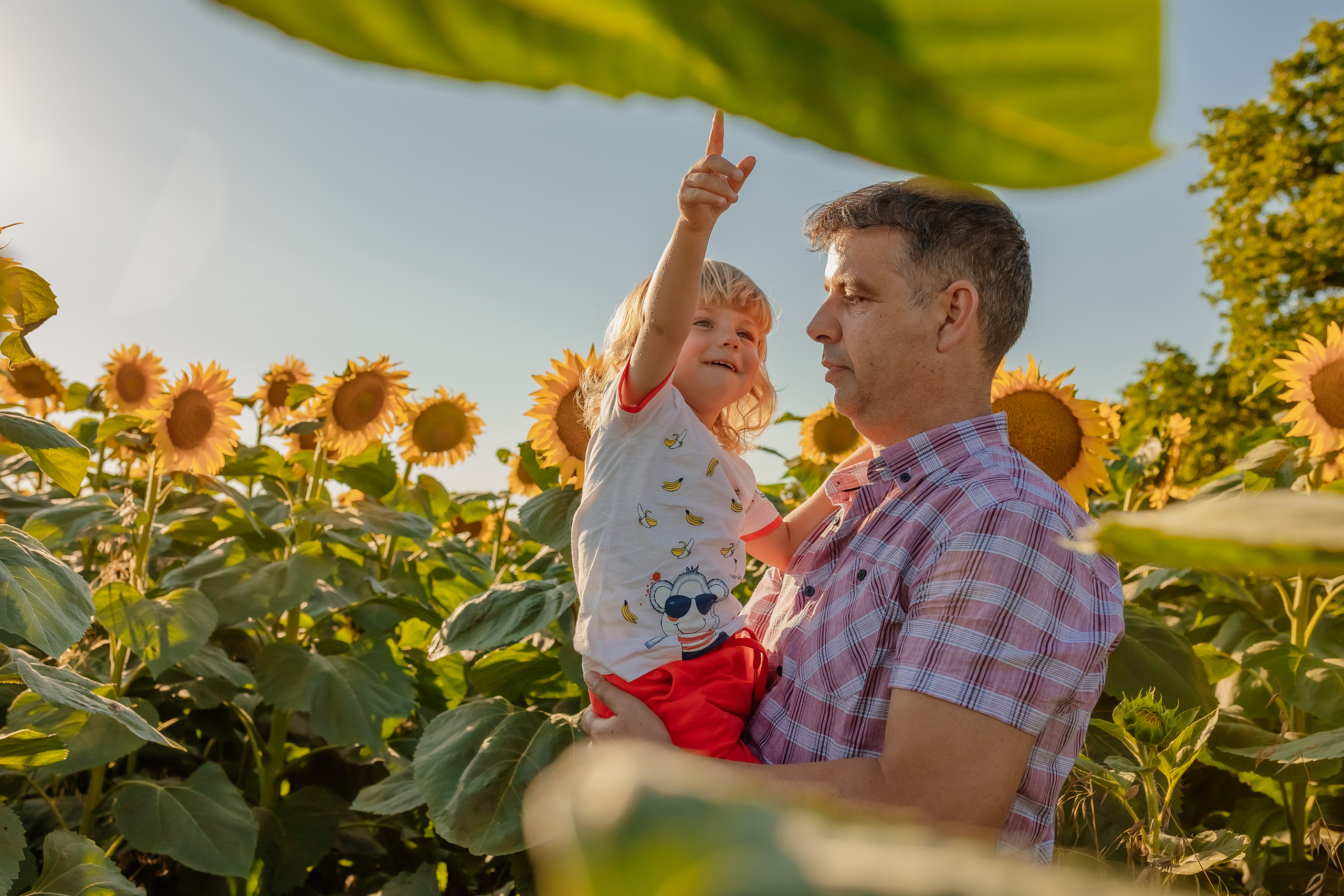 Фоторазходка Слънчогледи. Фотограф Ирина Йотова
