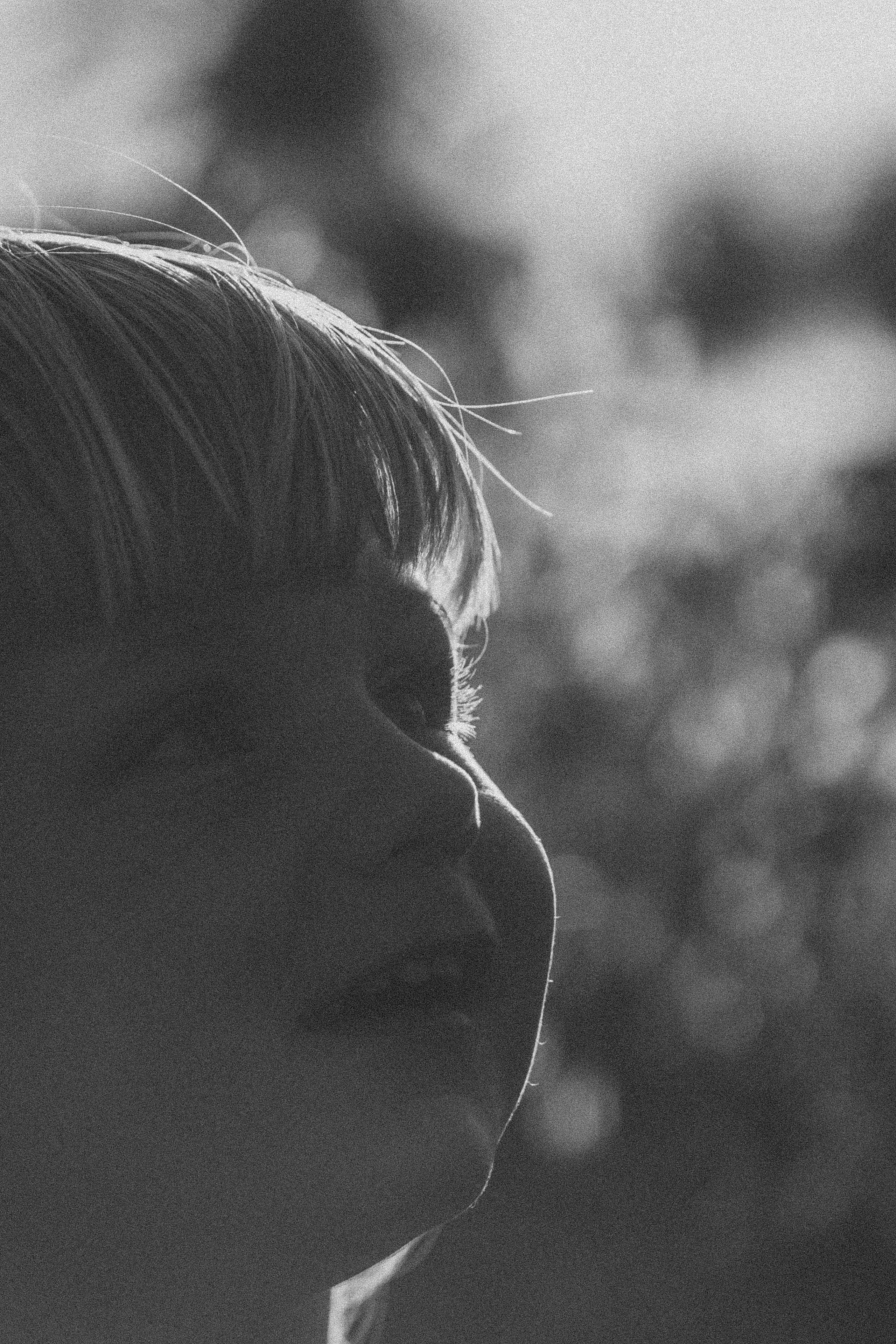 Фоторазходка Слънчогледи. Фотограф Ирина Йотова