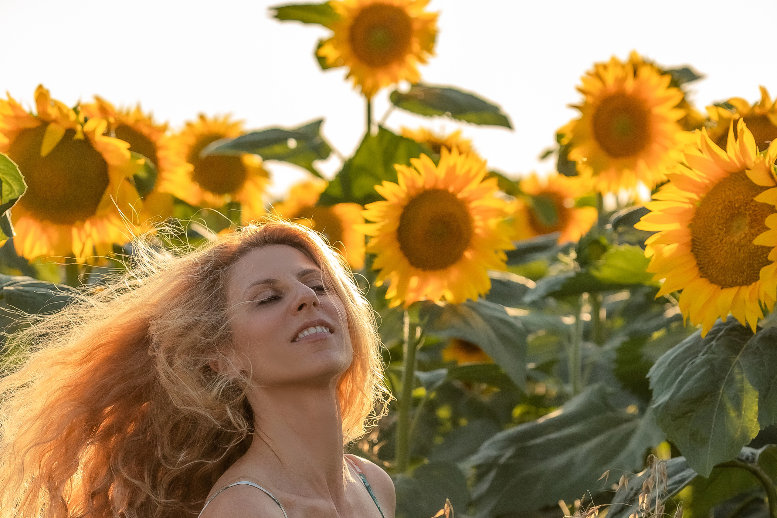 Фоторазходка Слънчогледи. Фотограф Ирина Йотова