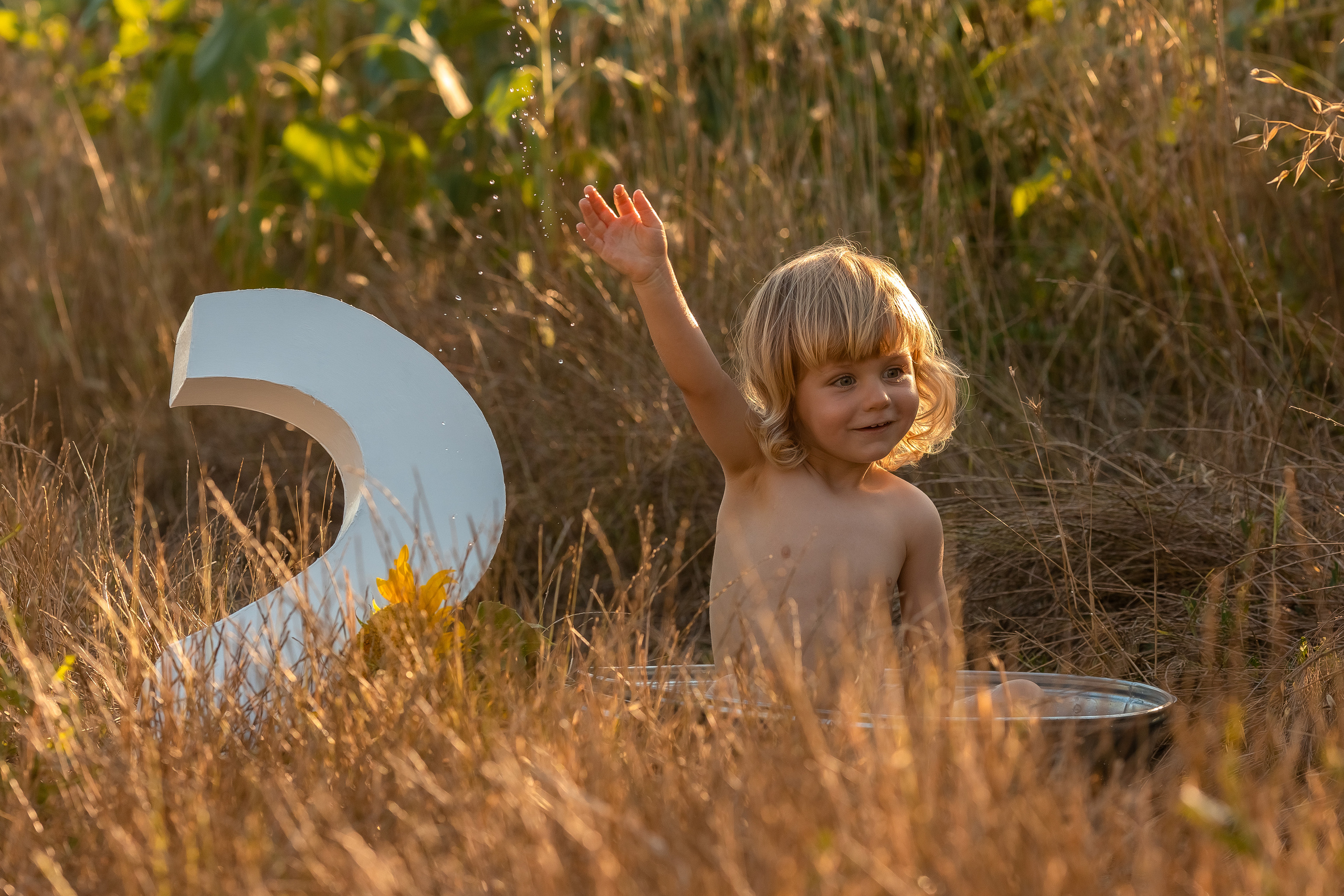Фоторазходка Слънчогледи. Фотограф Ирина Йотова