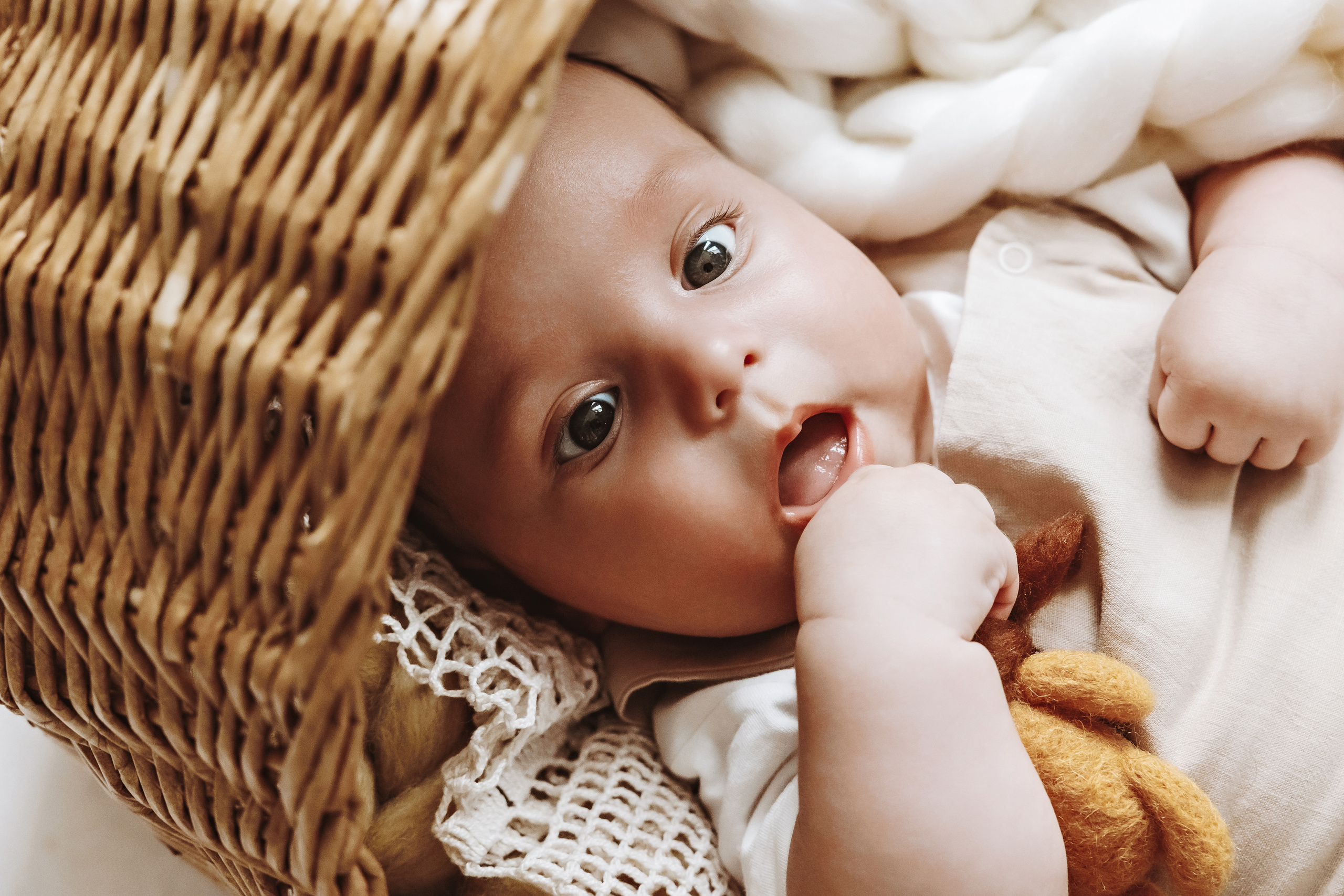 Bay boy. Фотограф Ирина Йотова