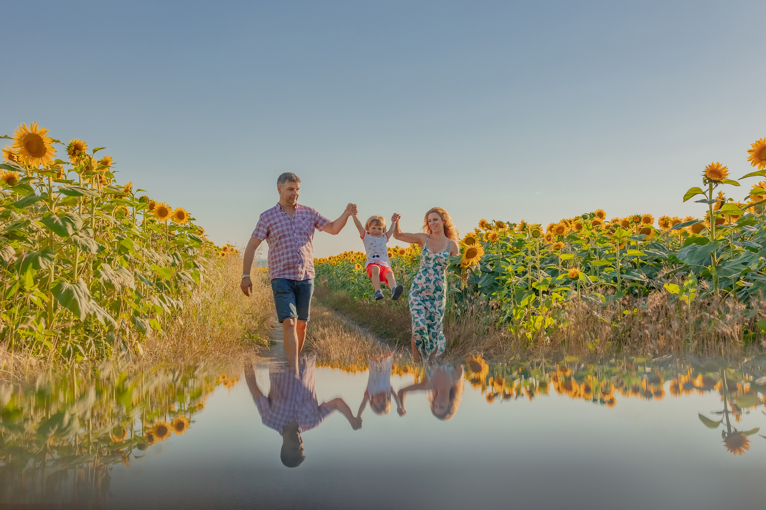 Фоторазходка Слънчогледи. Фотограф Ирина Йотова