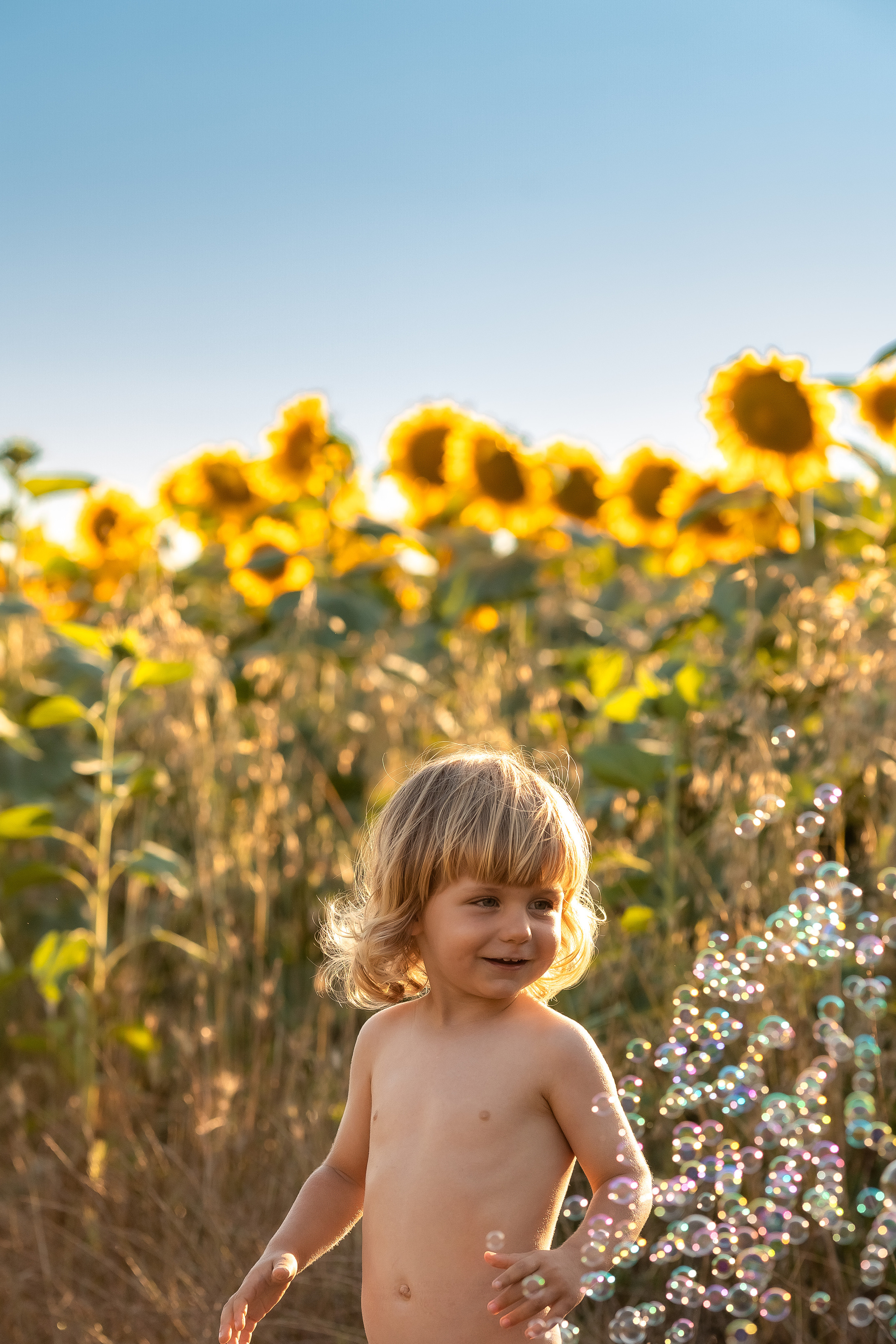 Фоторазходка Слънчогледи. Фотограф Ирина Йотова