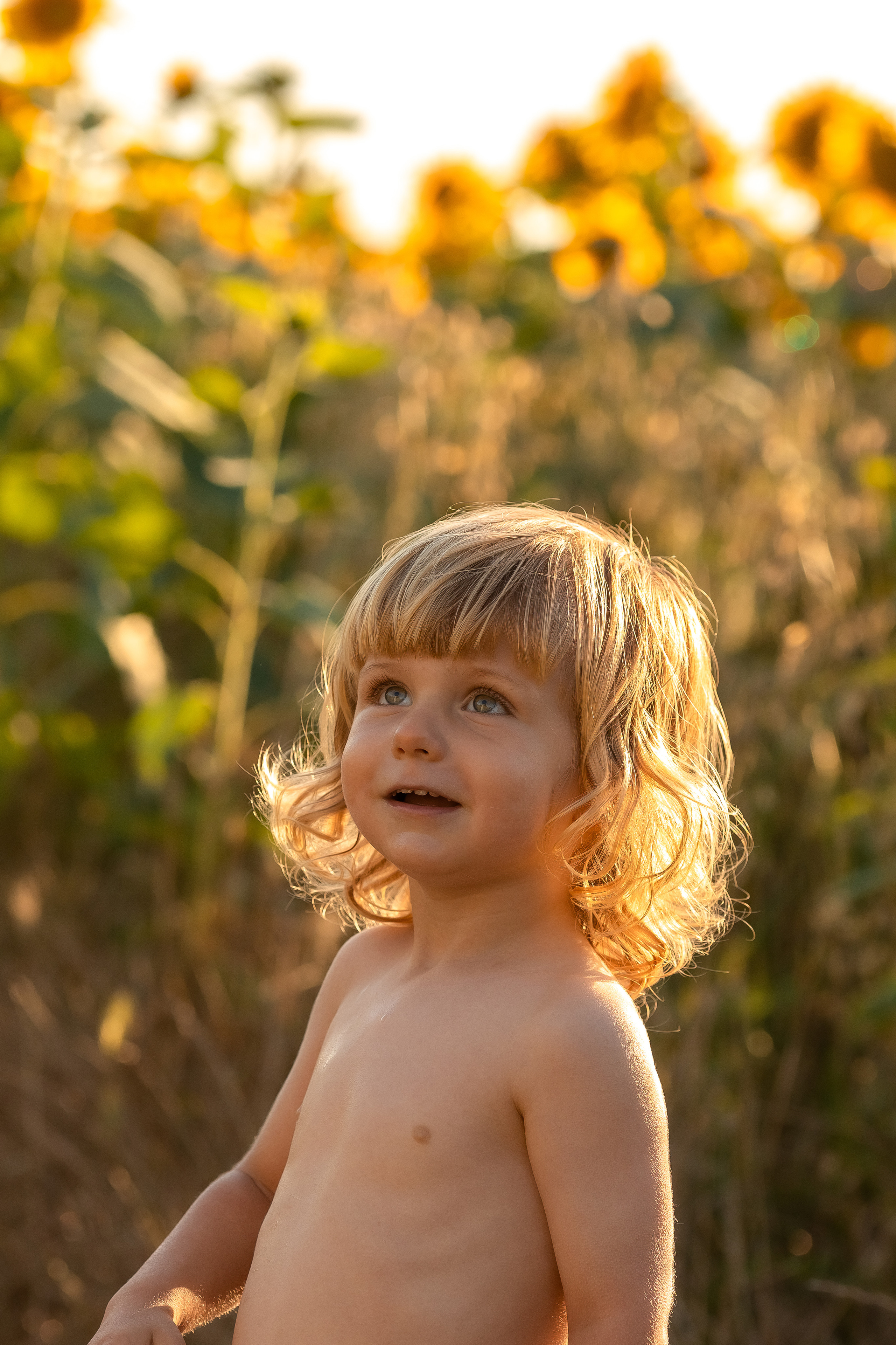 Фоторазходка Слънчогледи. Фотограф Ирина Йотова