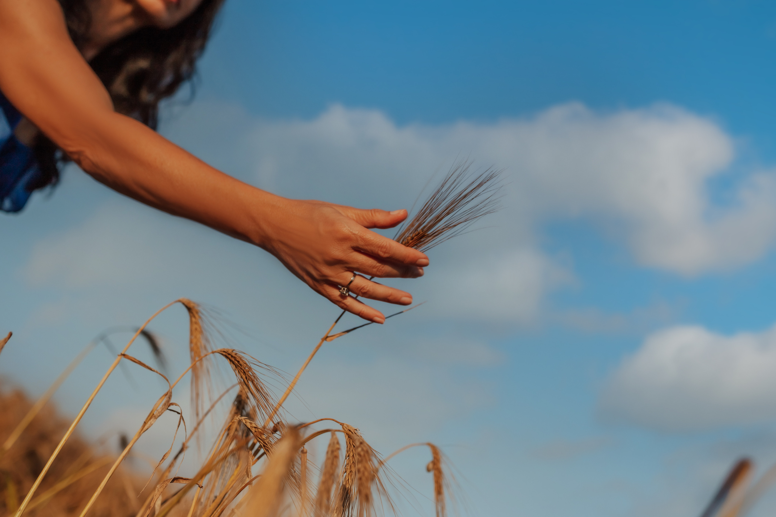 Фоторазходка Ръж. Фотограф Ирина Йотова