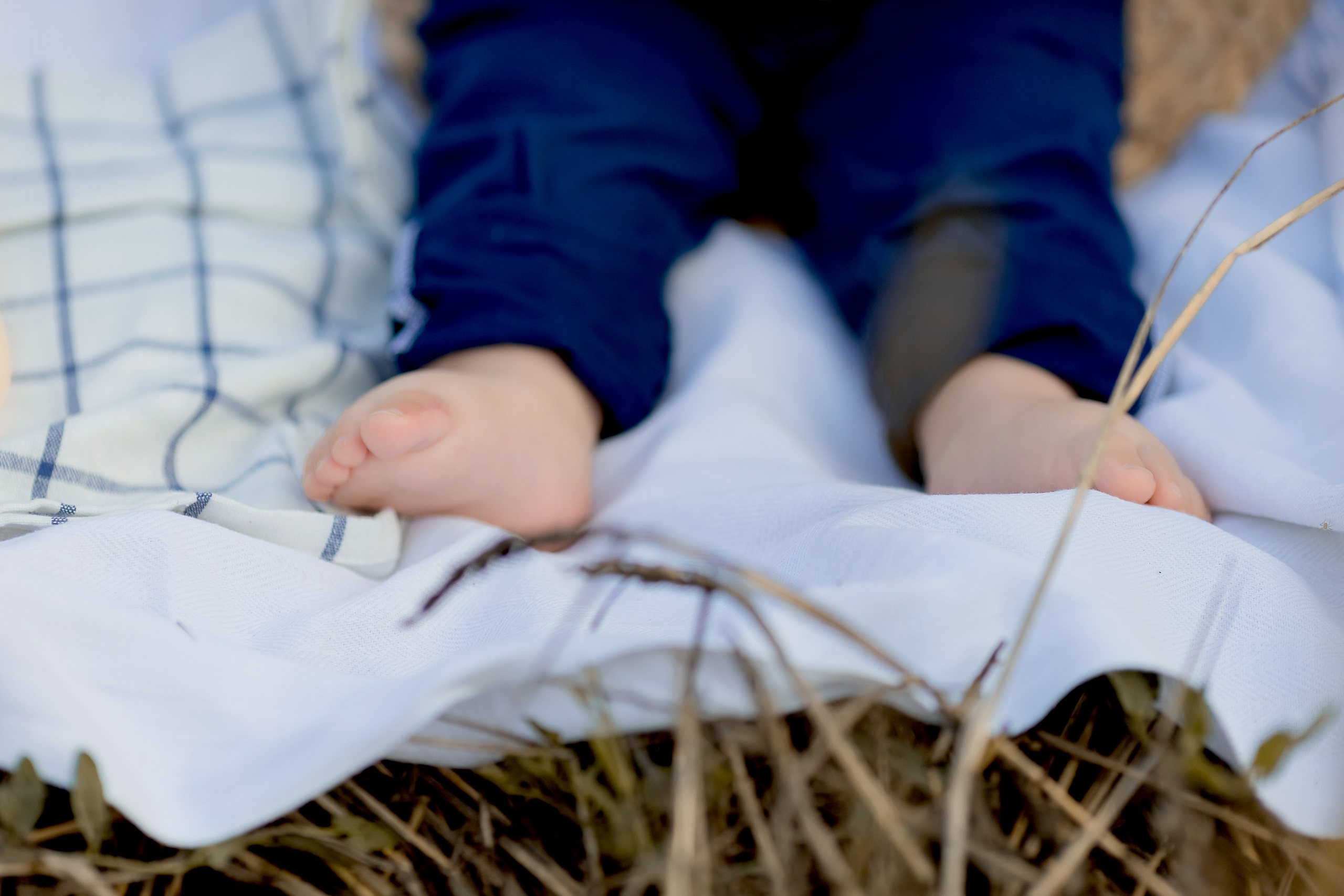 Фоторазходка Ръж. Фотограф Ирина Йотова