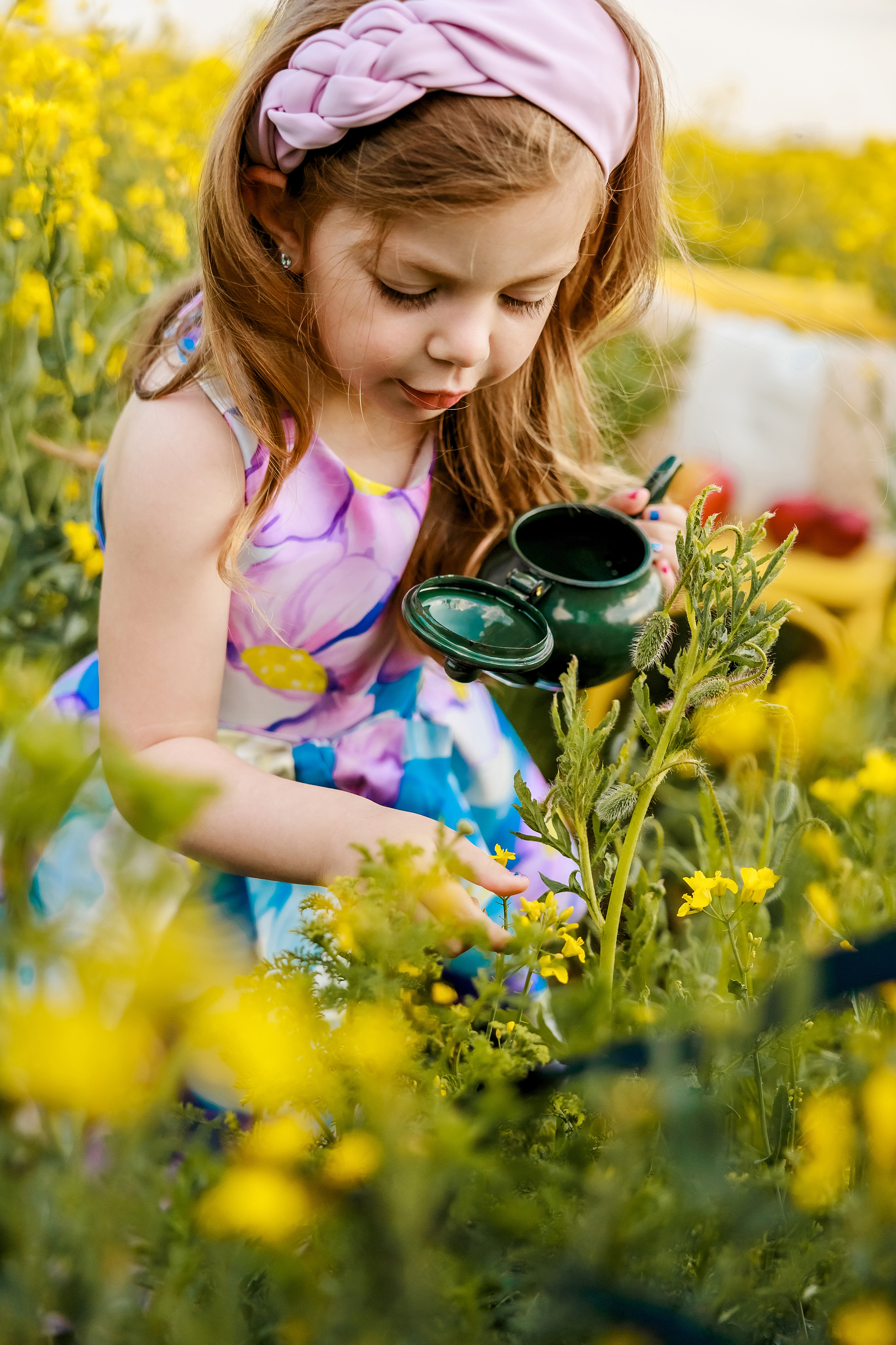 Когато цъфти рапицата. Фотограф Ирина Йотова