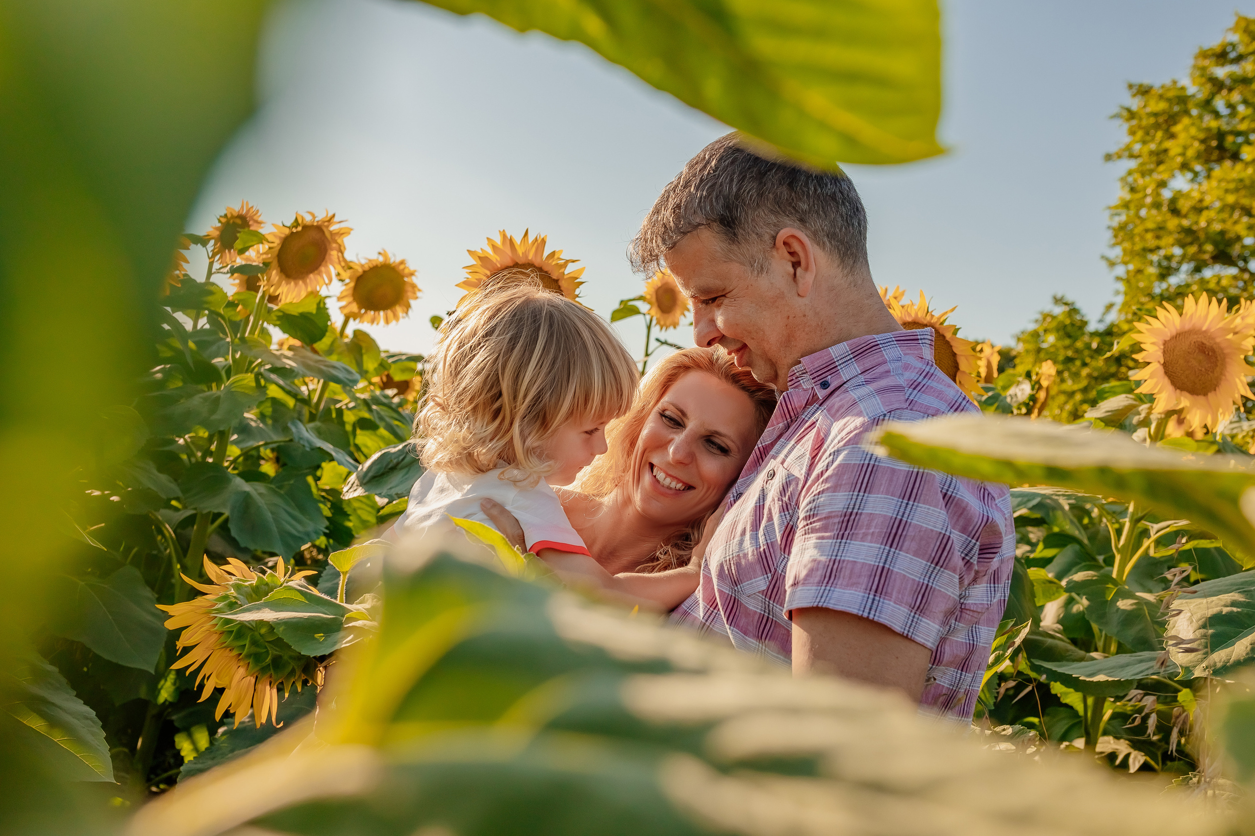 Фоторазходка Слънчогледи. Фотограф Ирина Йотова