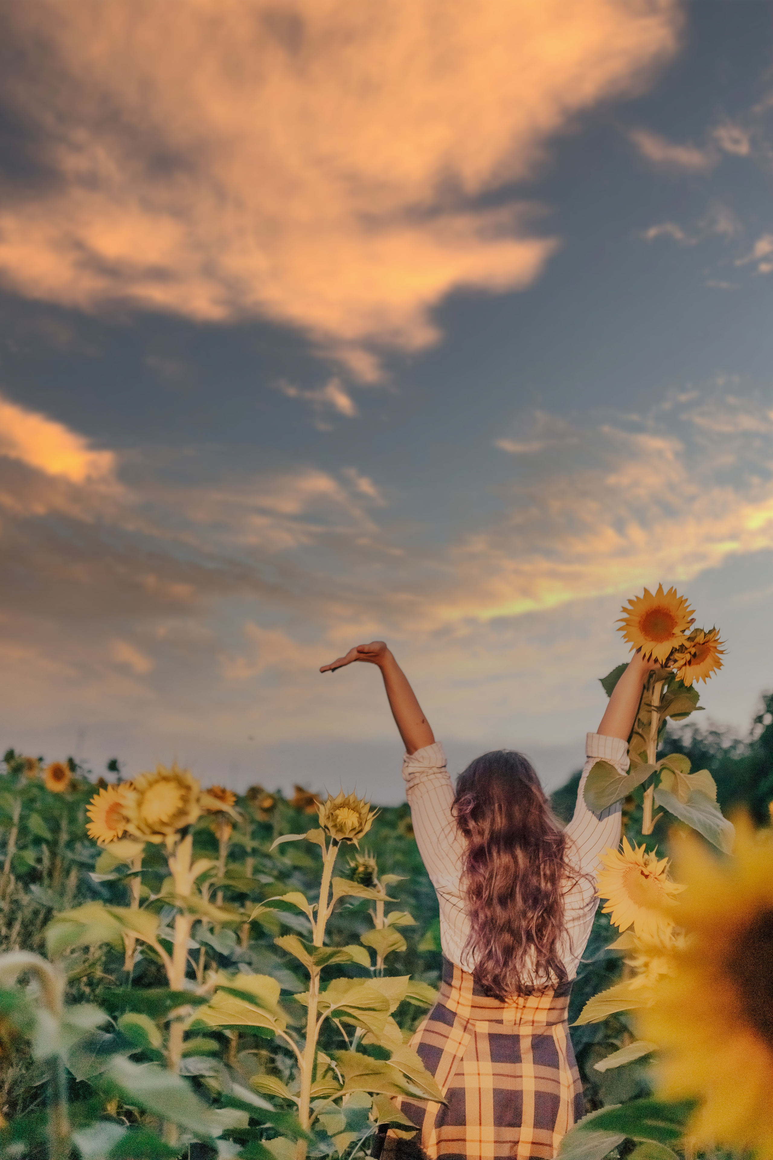 Фоторазходка Слънчогледи. Фотограф Ирина Йотова