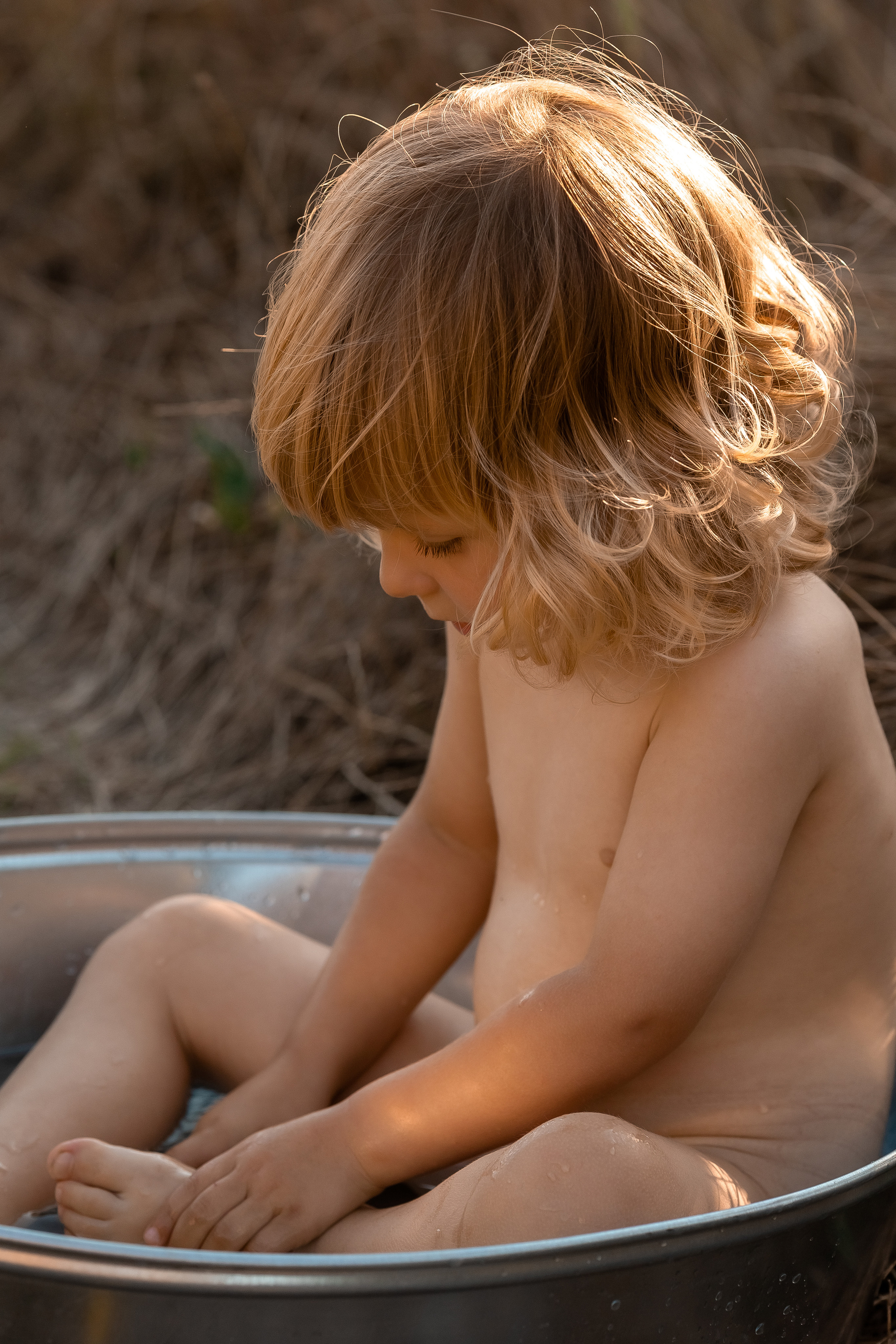 Фоторазходка Слънчогледи. Фотограф Ирина Йотова