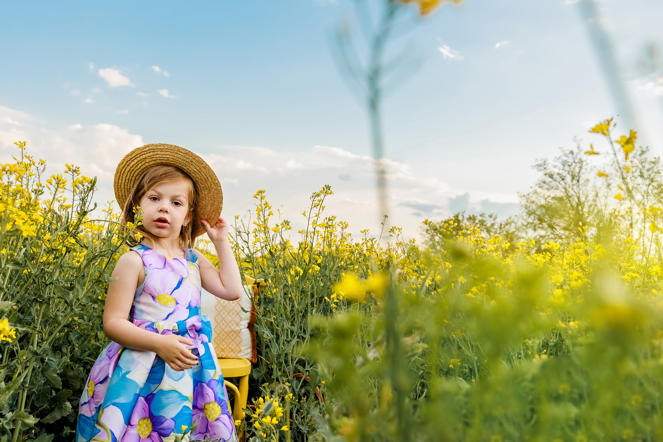 Когато цъфти рапицата. Фотограф Ирина Йотова