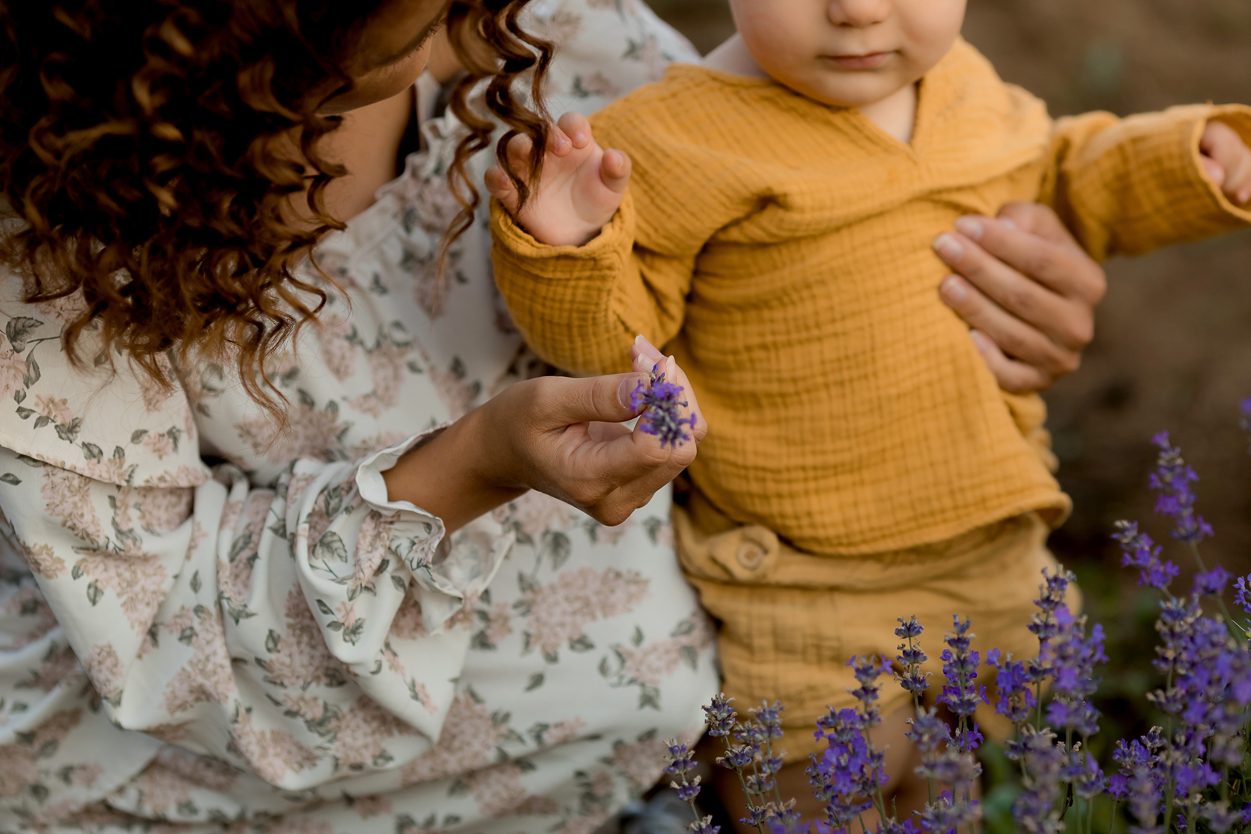 Фоторазходка Лавандула. Фотограф Ирина Йотова