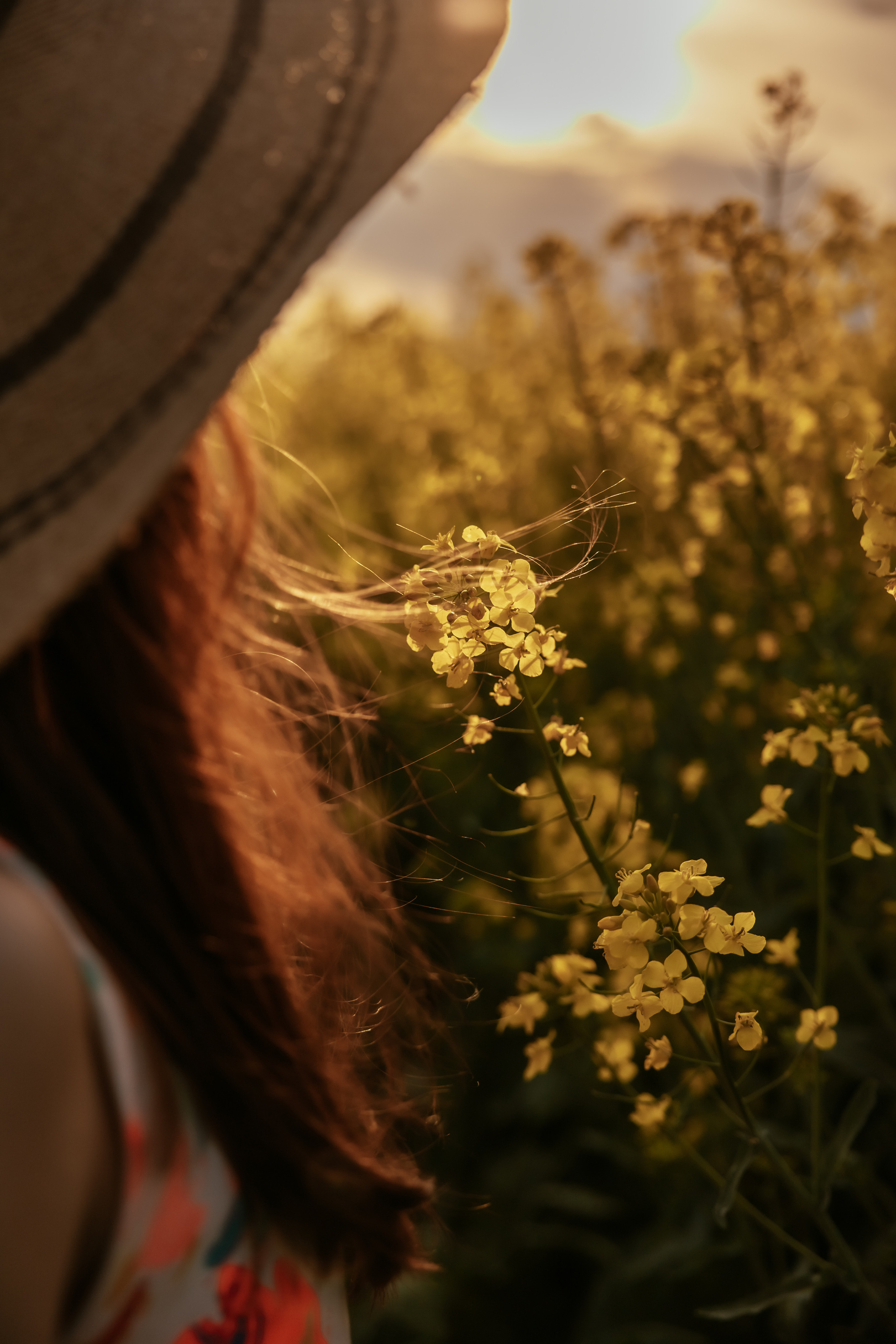 Когато цъфти рапицата. Фотограф Ирина Йотова