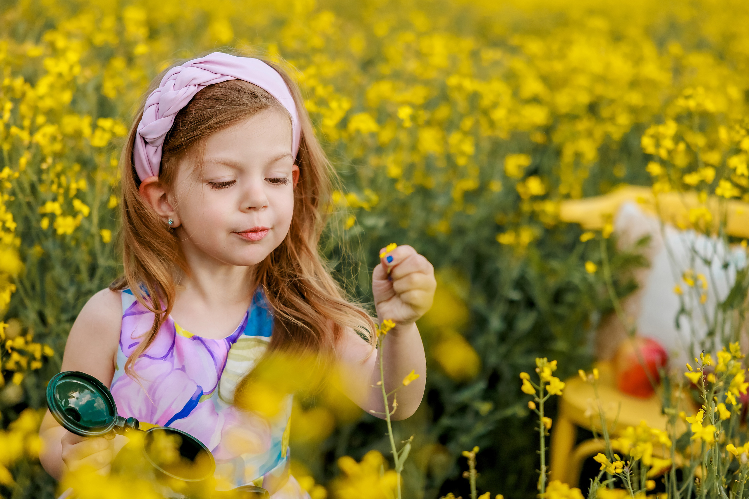 Когато цъфти рапицата. Фотограф Ирина Йотова