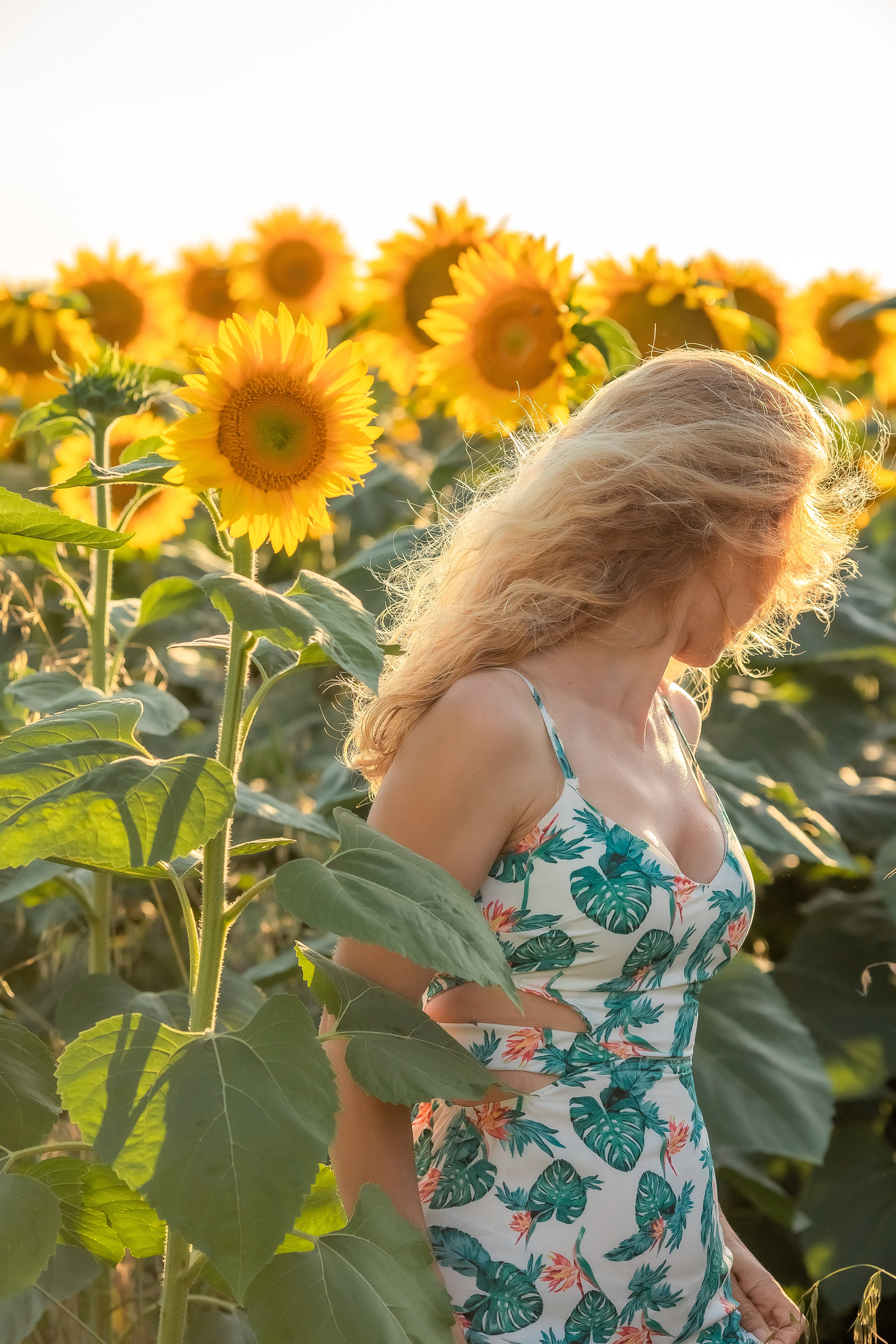 Фоторазходка Слънчогледи. Фотограф Ирина Йотова