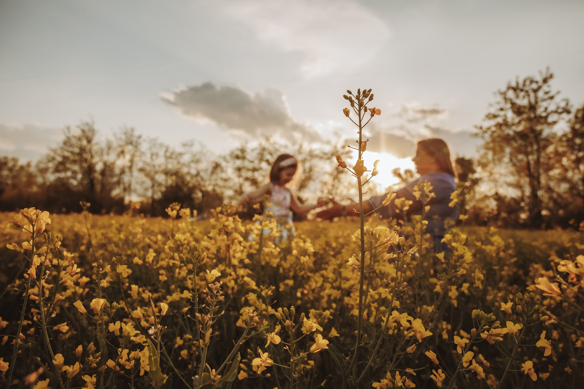 Когато цъфти рапицата. Фотограф Ирина Йотова