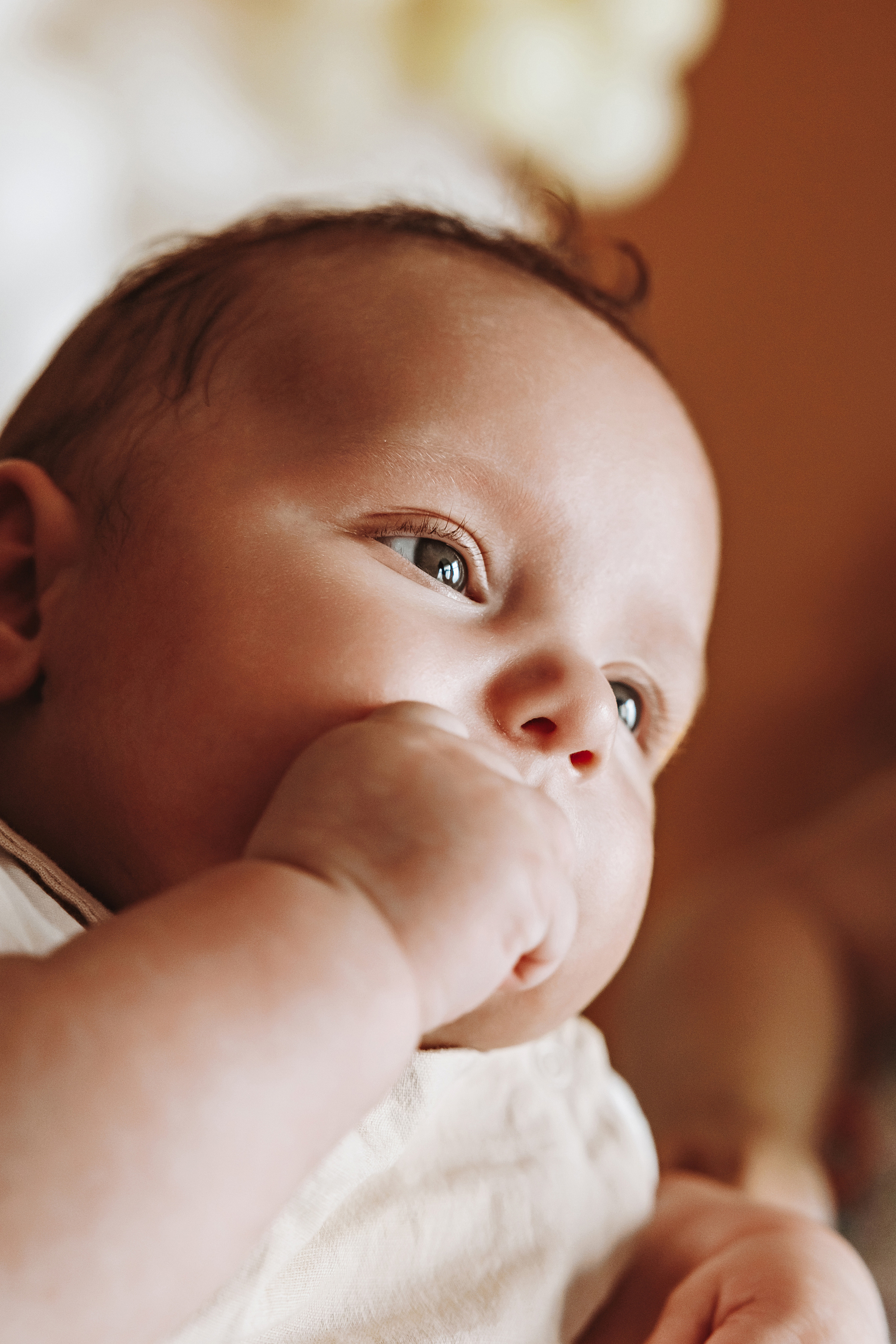 Bay boy. Фотограф Ирина Йотова