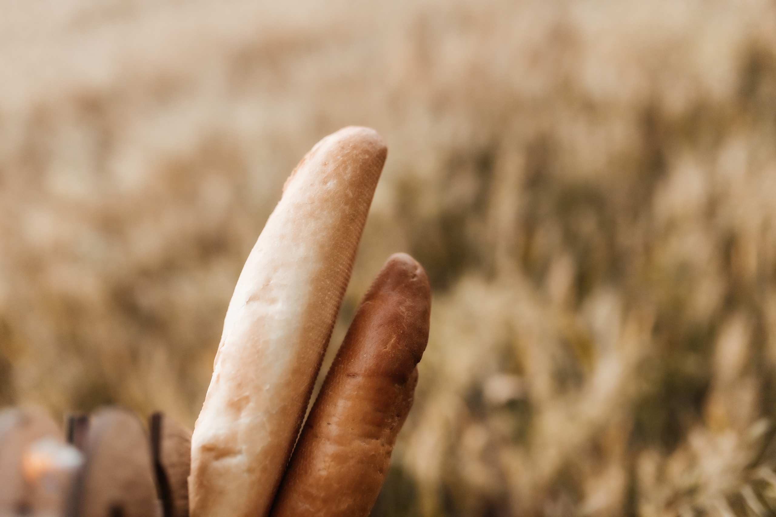 Фоторазходка Ръж. Фотограф Ирина Йотова