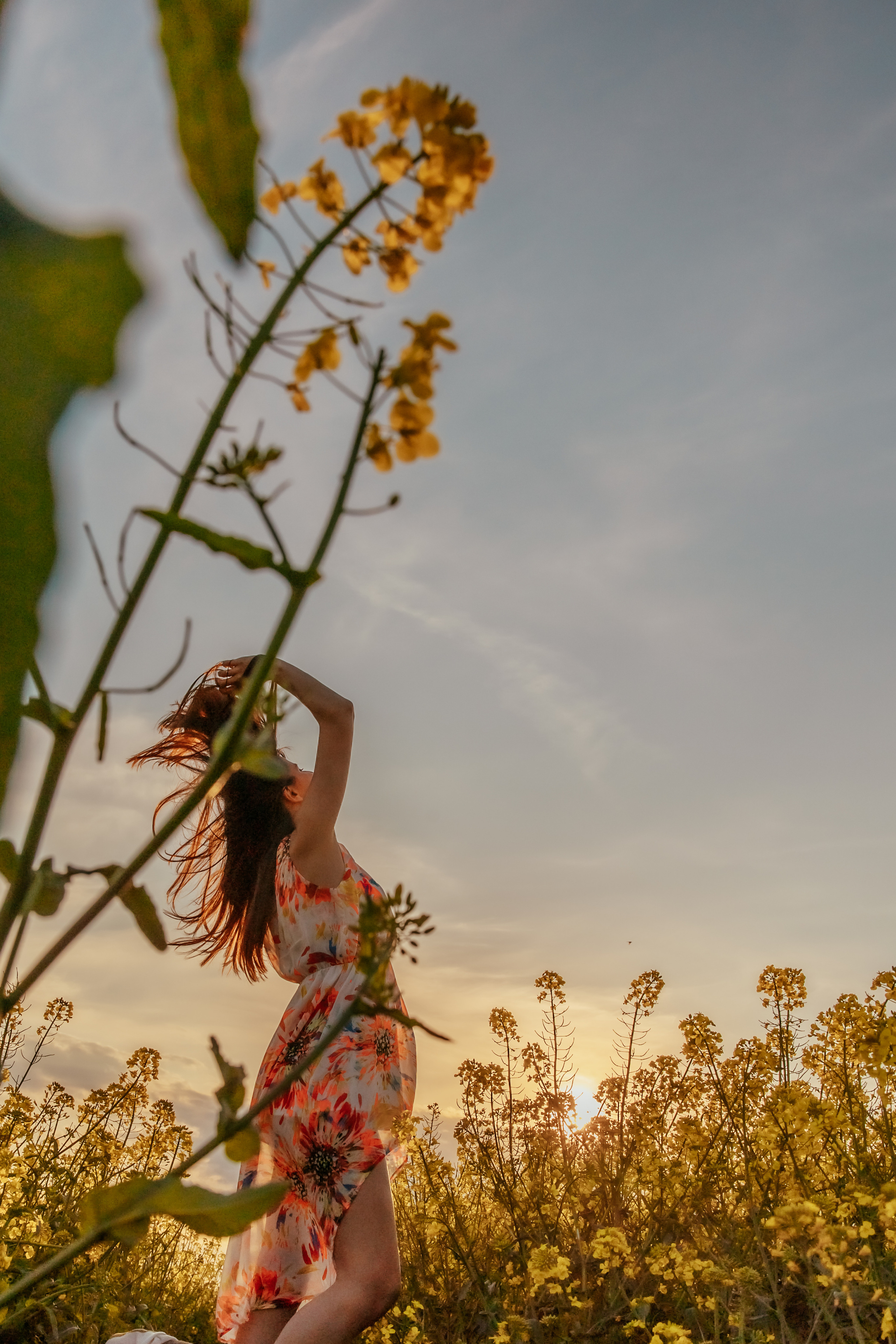 Когато цъфти рапицата. Фотограф Ирина Йотова